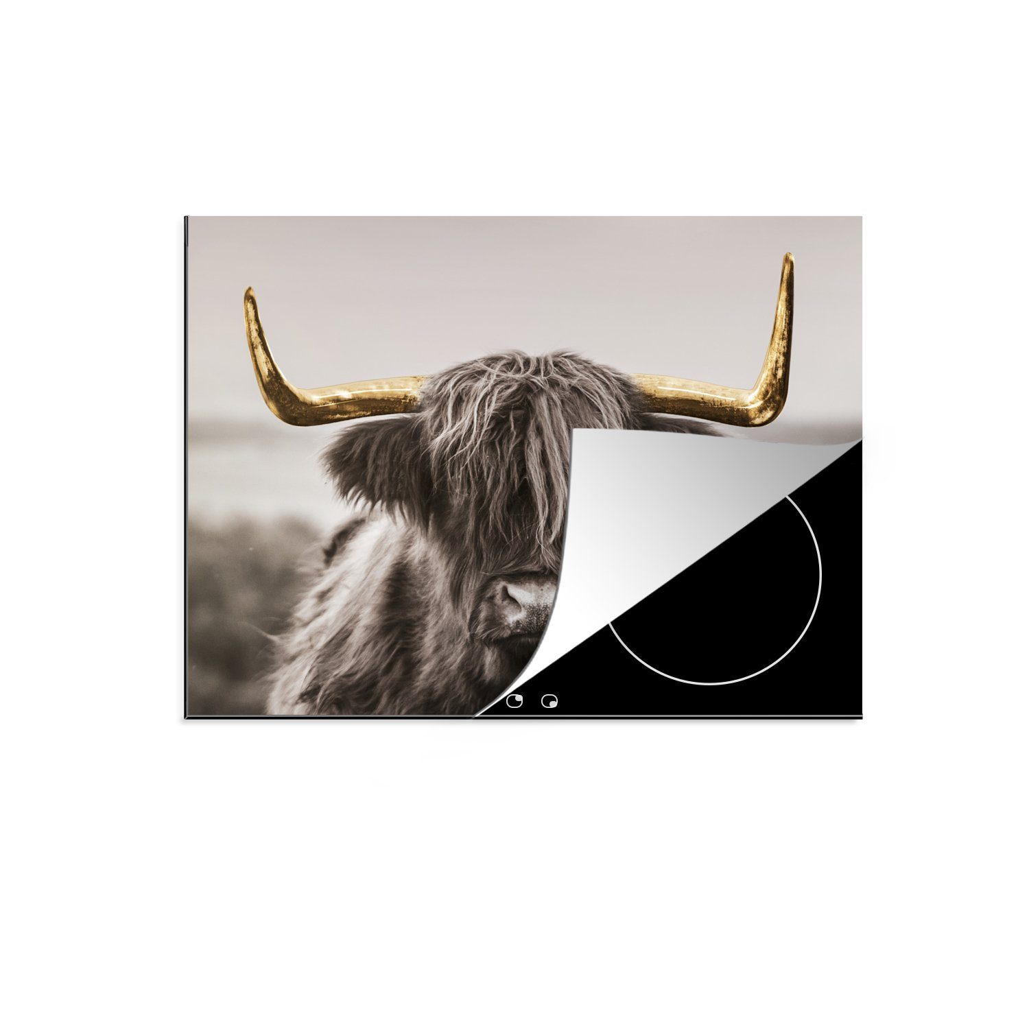 MuchoWow Herdblende-/Abdeckplatte Scottish Highlander - Schwarz - Weiß - Gold, Vinyl, (1 tlg), 71x52 cm, Induktionskochfeld Schutz für die küche, Ceranfeldabdeckung