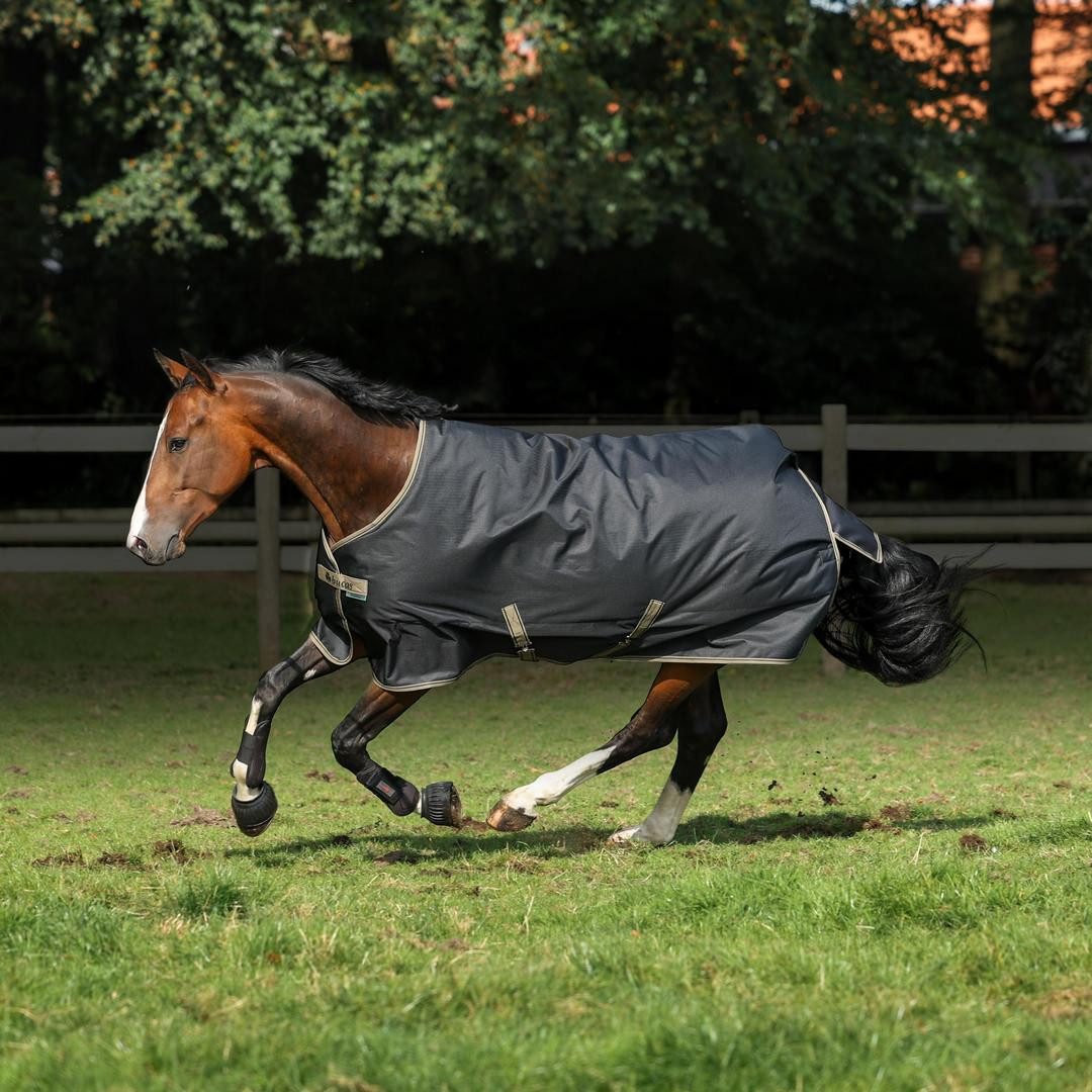 Bucas Pferde-Regendecke Bucas Freedom Turnout Light 0g