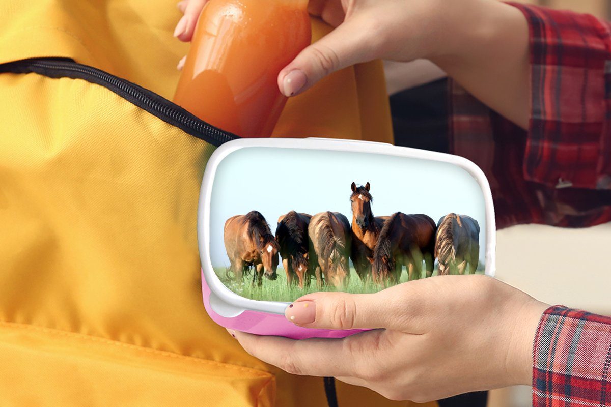 MuchoWow Lunchbox Pferde - Tiere Kinder, rosa Snackbox, Erwachsene, Brotdose (2-tlg), Mädchen, für - Brotbox Kunststoff - Kunststoff, Gras Sommer