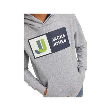 Jack & Jones Hoodie hell-grau passform textil (1-tlg)