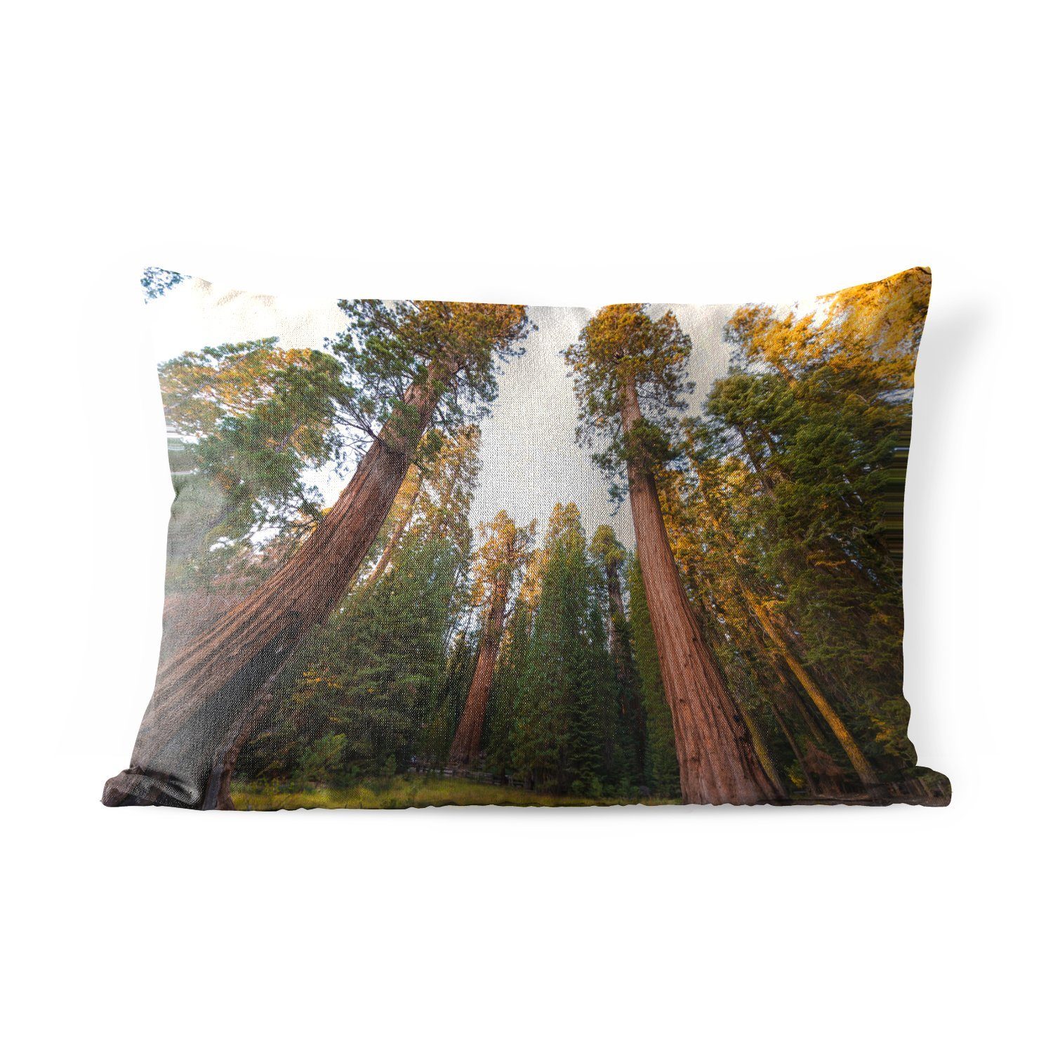Outdoor-Dekorationskissen, den Dekokissen Polyester, Kissenhülle Sequoia Dekokissenbezug, Staaten, in im National Vereinigten Park Riesenmammutbäume MuchoWow