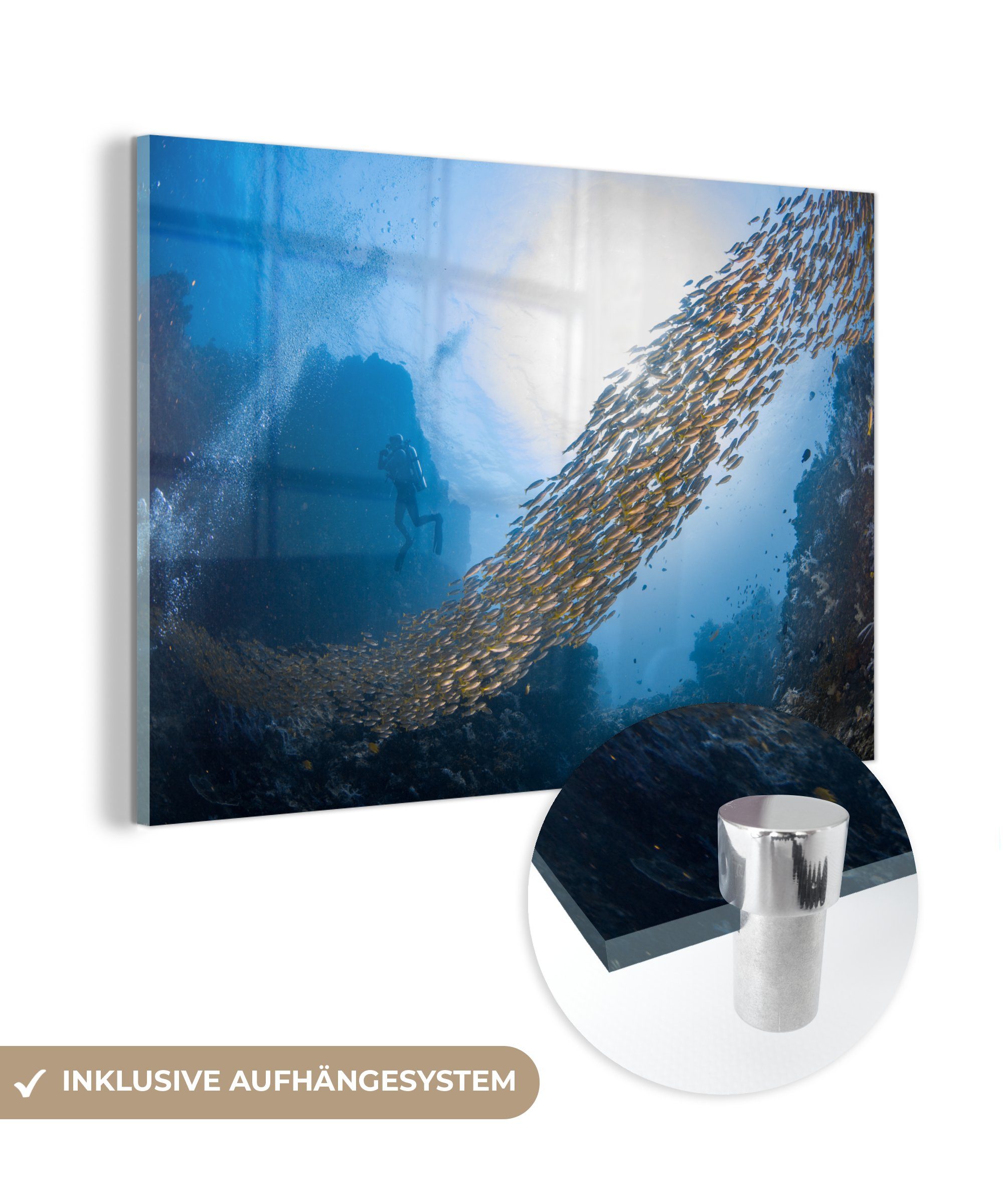 MuchoWow Acrylglasbild Schwimmen - Tauchen - Fische, (1 St), Acrylglasbilder Wohnzimmer & Schlafzimmer | Bilder