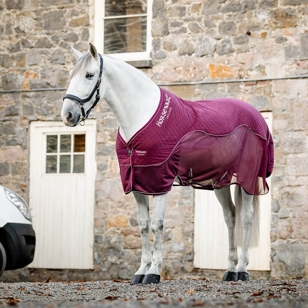 Pferde-Abschwitzdecke Horseware Signature Travel Cooler