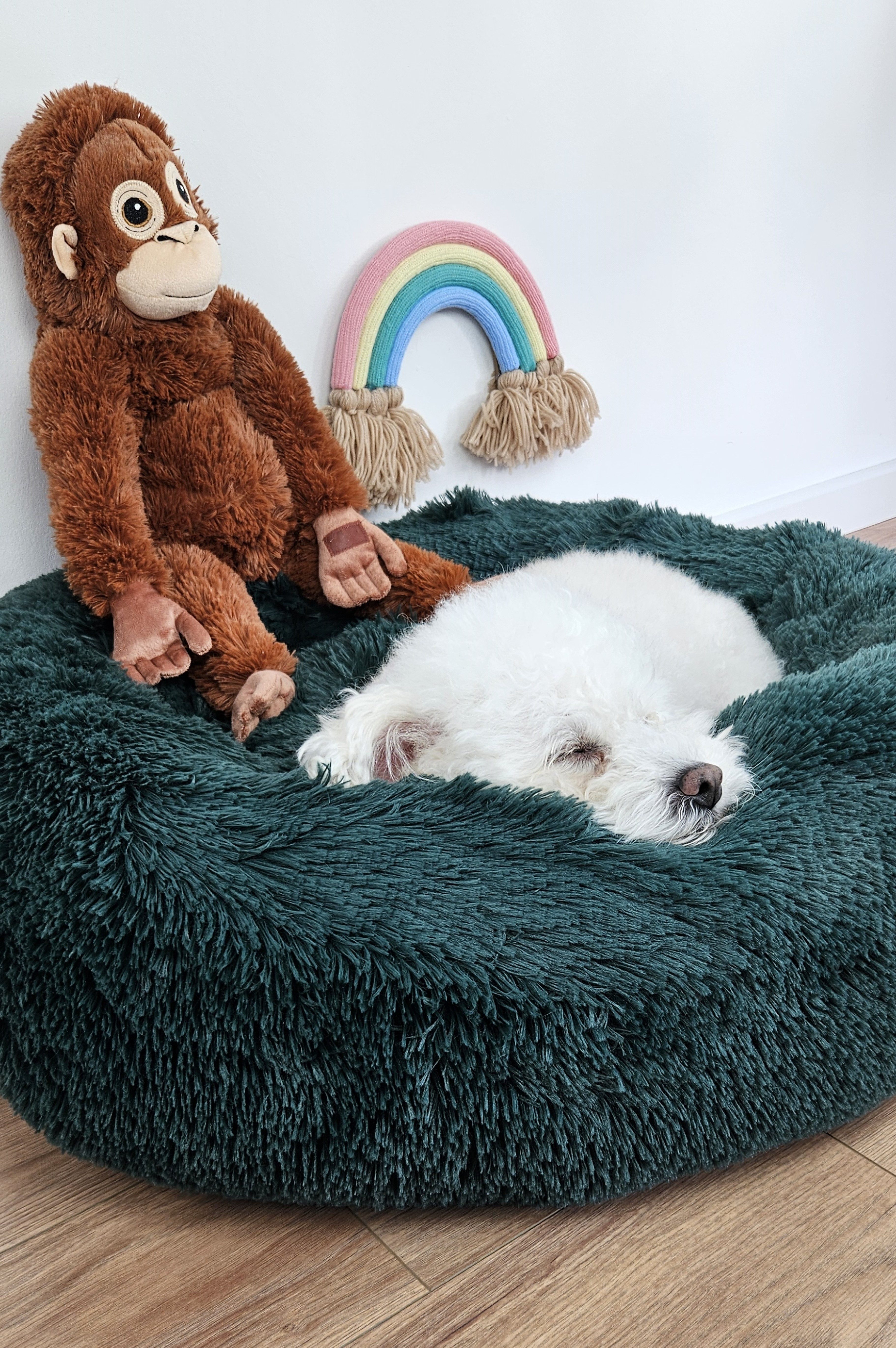 Pamek Hundekorb küscheliges Tierbett Hunde-Himmel Plüsch günstig online kaufen