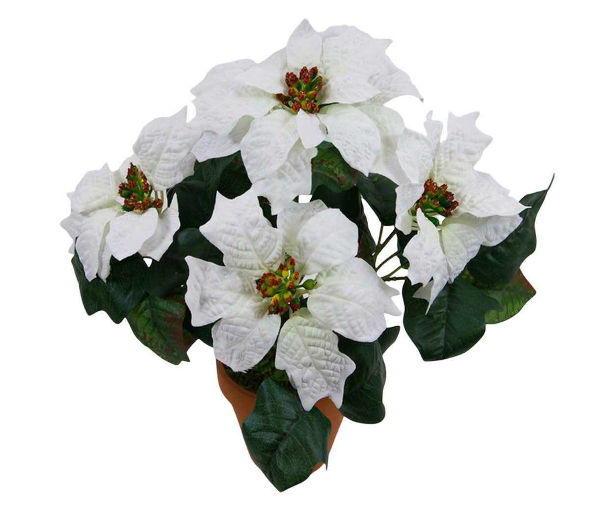 Kunstblume Großer Weihnachtsstern im Topf 38cm PF Kunstpflanzen künstliche Blumen Poinsettie, Seidenblumen Roß, Höhe 38 cm, Farbe: Weiß
