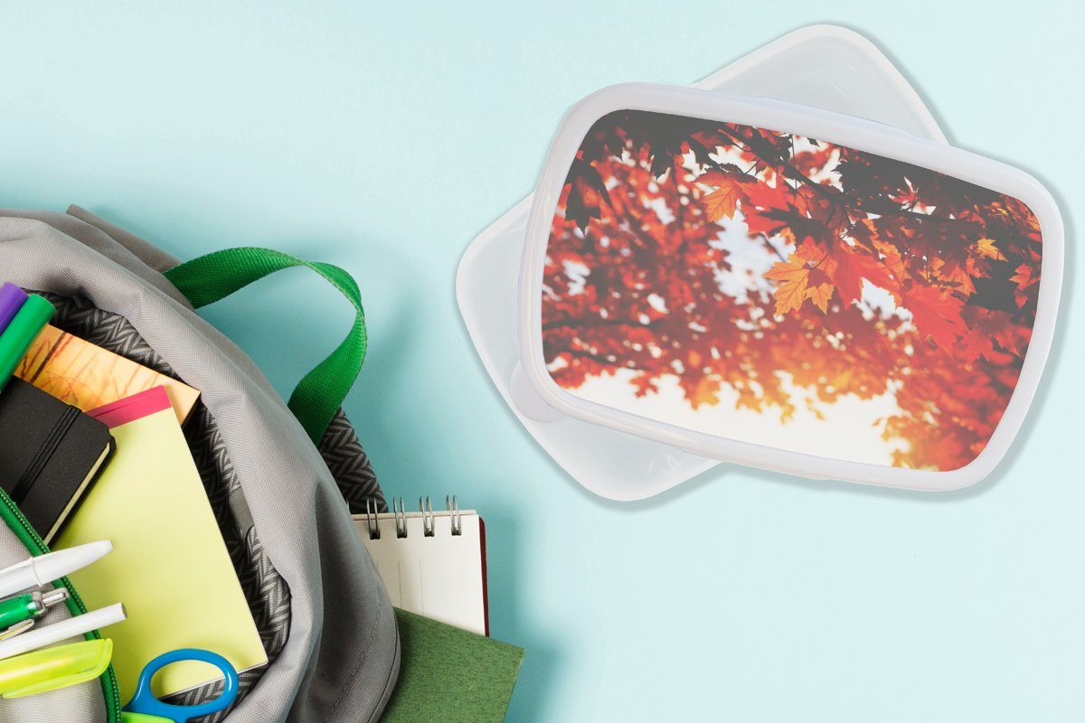 MuchoWow Lunchbox Herbstliche Kunststoff, Brotdose, Blätter - für Erwachsene, für - Rustikale weiß Jungs Dekoration und Kinder (2-tlg), Mädchen Sonne, und Brotbox