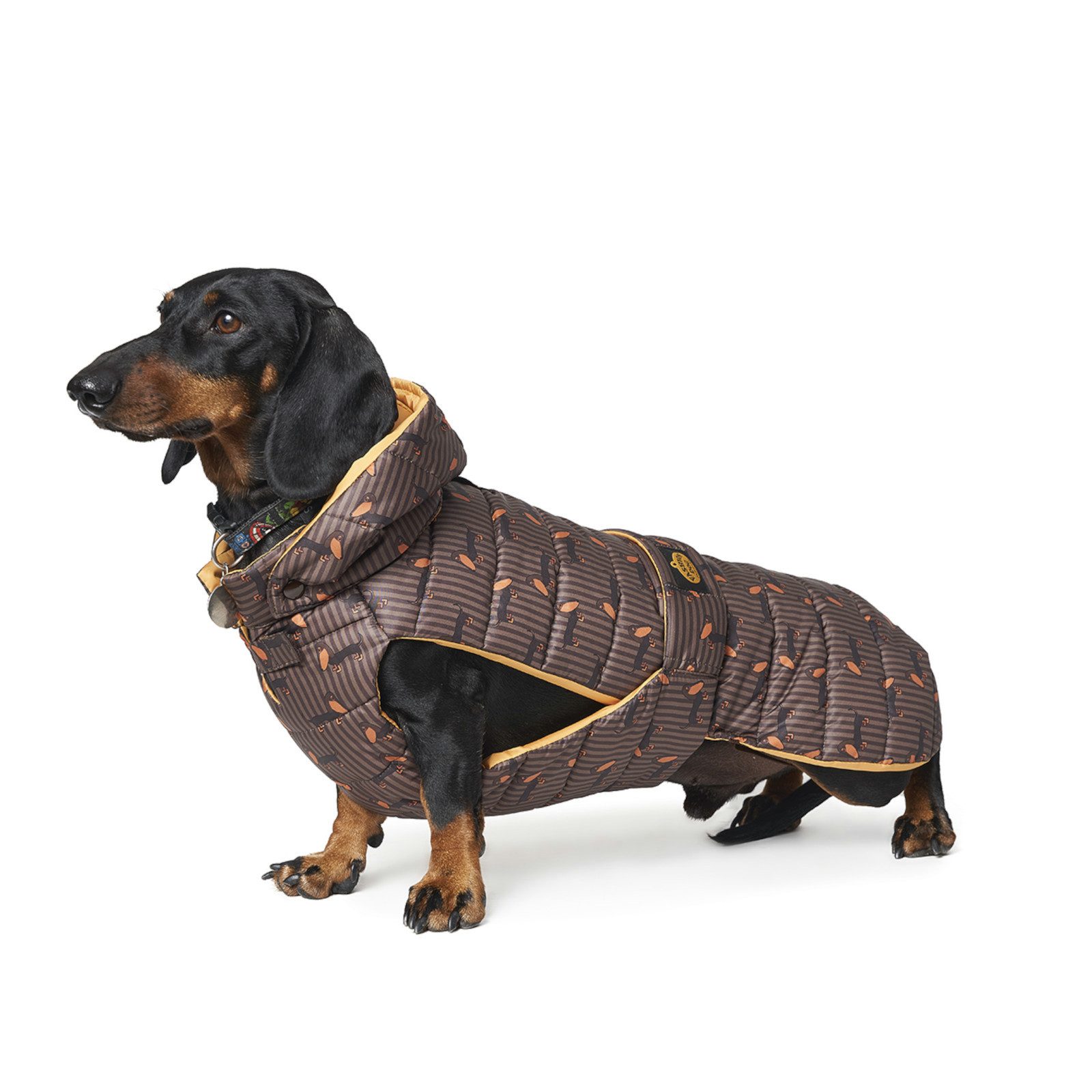 Fashion Dog Hundemantel wasserfester Hunde-Steppmantel speziell für Dackel, 39 cm
