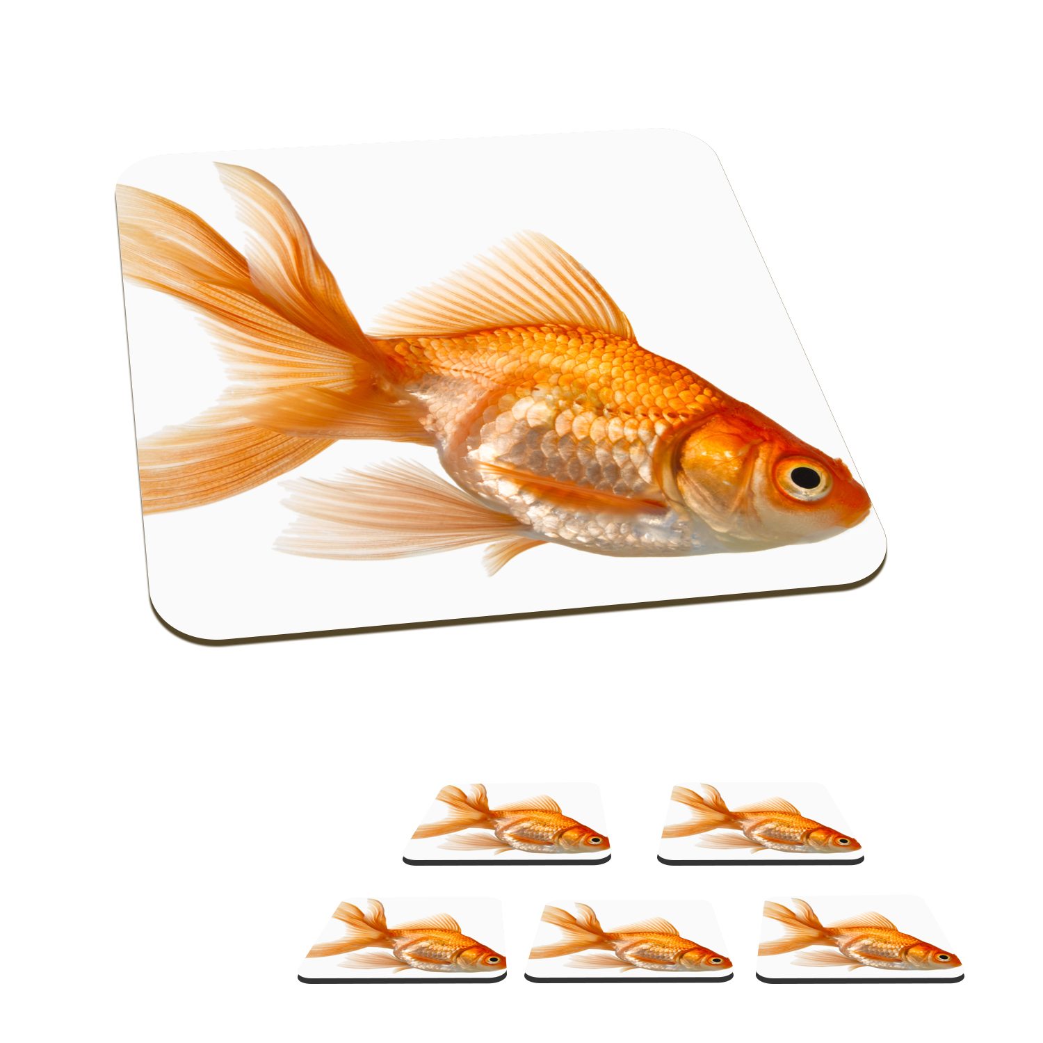 für Weiß, Tischuntersetzer, 6-tlg., Untersetzer, Glasuntersetzer MuchoWow Korkuntersetzer, - Glasuntersetzer, Goldfisch Gläser, Tasse Zubehör