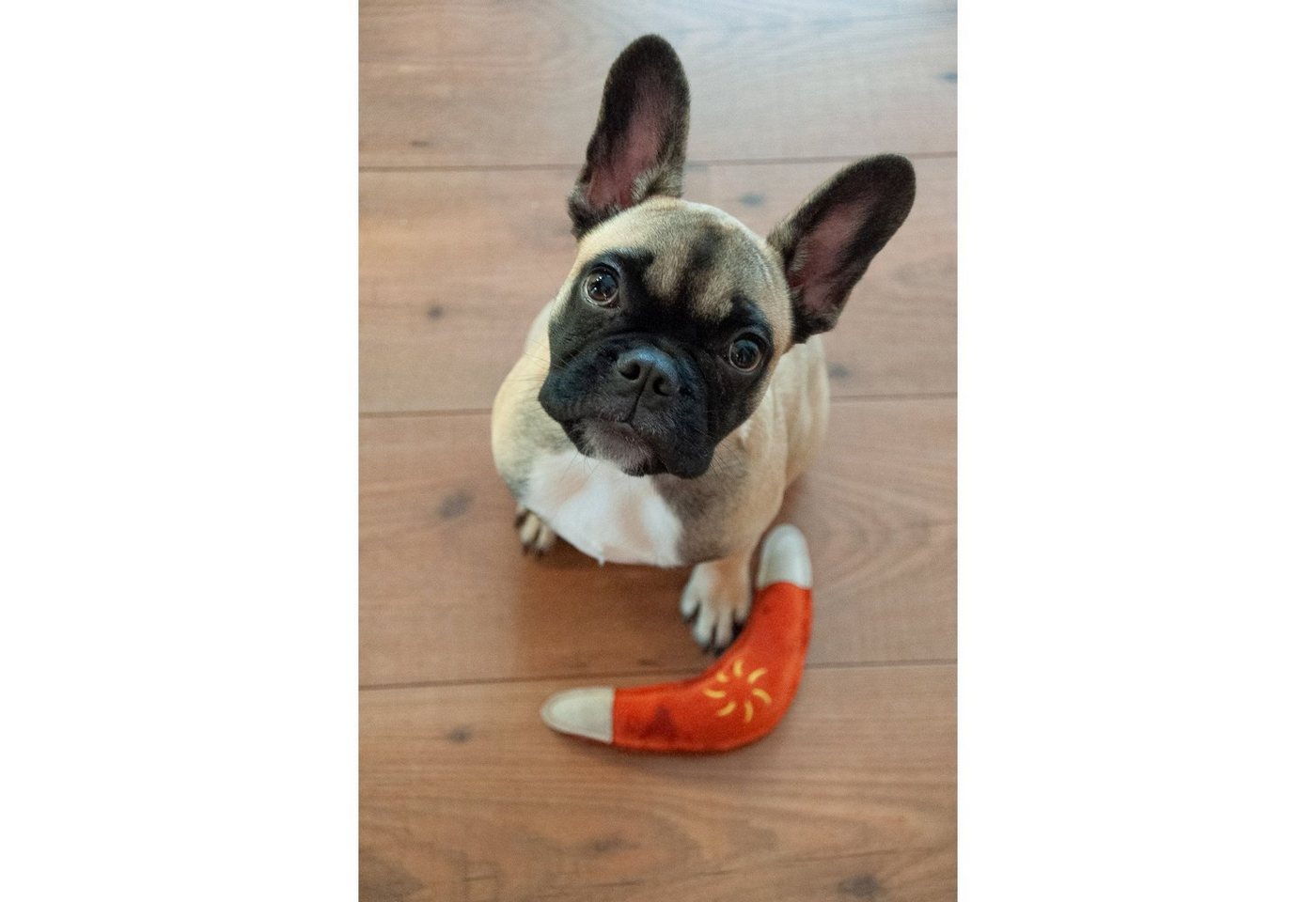 Thumbnail - Aumüller Tierquietschie Hundespielzeug aus Leder, Boomerang, orange