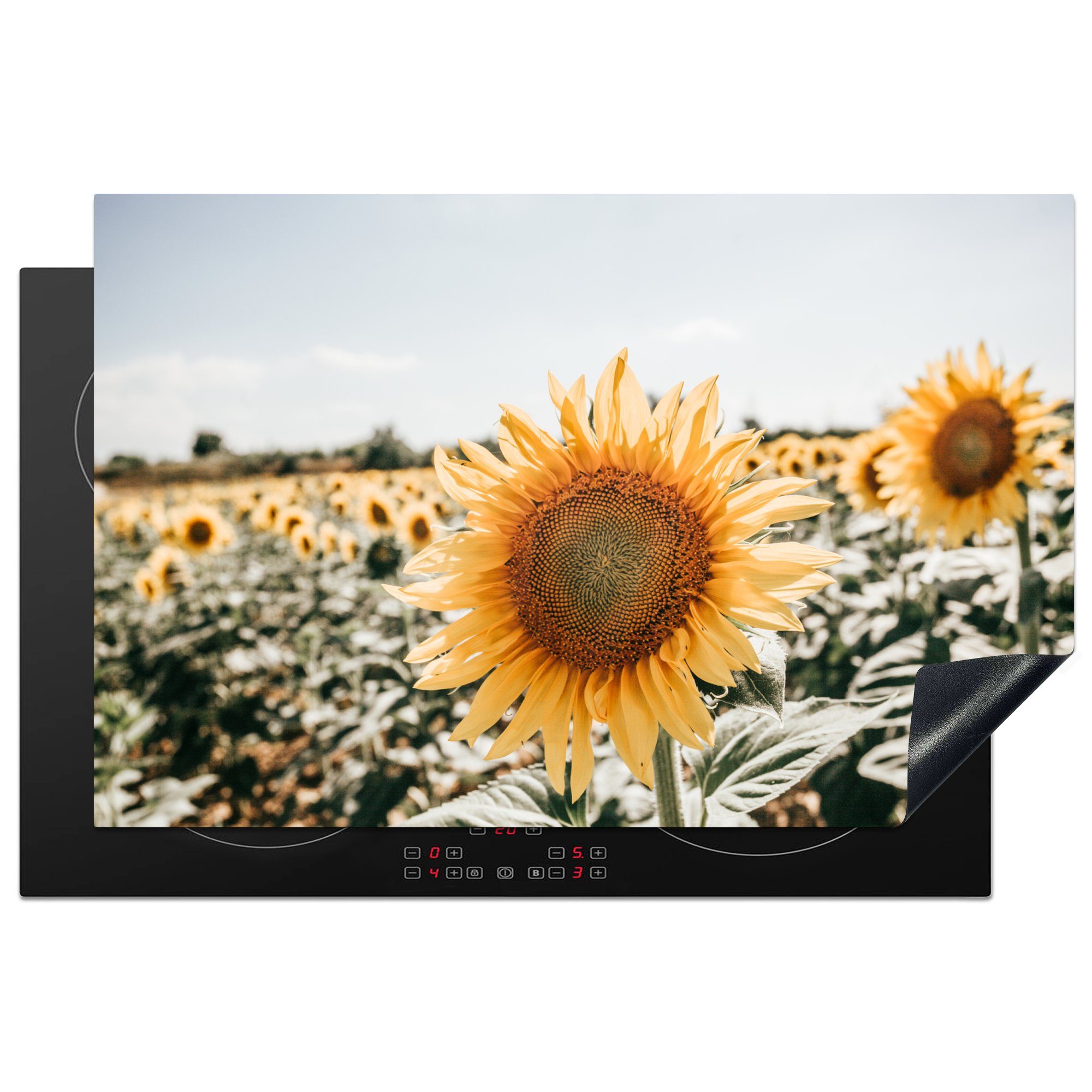 MuchoWow Herdblende-/Abdeckplatte Nahaufnahme einer Sonnenblume in Italien, Vinyl, (1 tlg), 81x52 cm, Induktionskochfeld Schutz für die küche, Ceranfeldabdeckung