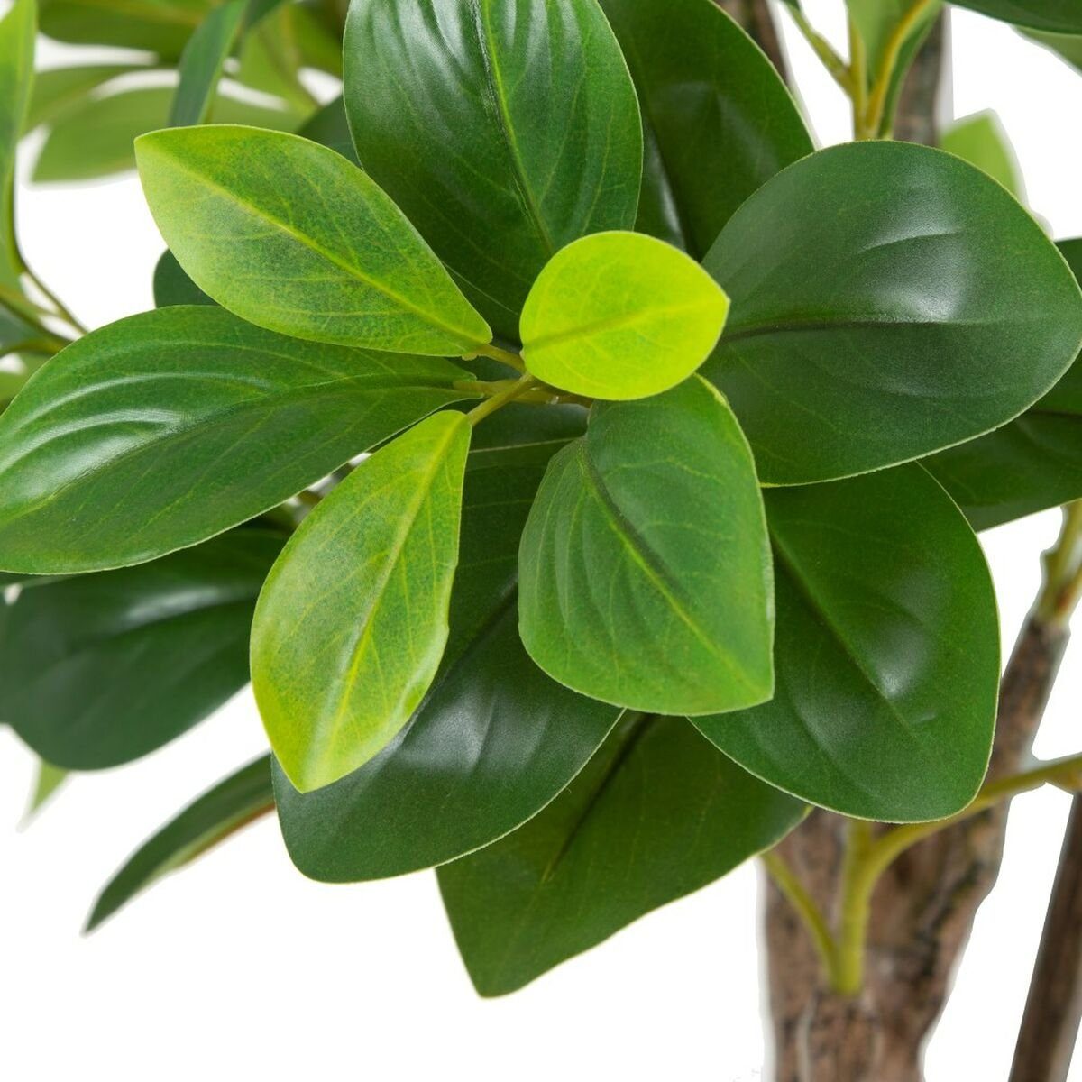 cm Zimmerpflanze Pflanze, 145 Peperomia 19 cm Höhe Künstliche Dekorationspflanze grün Bigbuy, Künstliche PVC