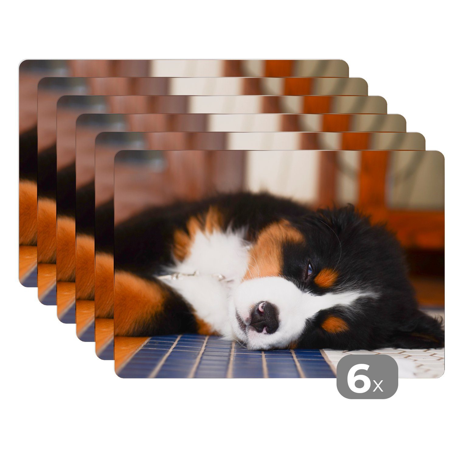 Platzset, Liebenswerter Berner Sennenhund schläft ein, MuchoWow, (6-St), Platzset, Platzdecken, Platzmatte, Tischmatten, Schmutzabweisend