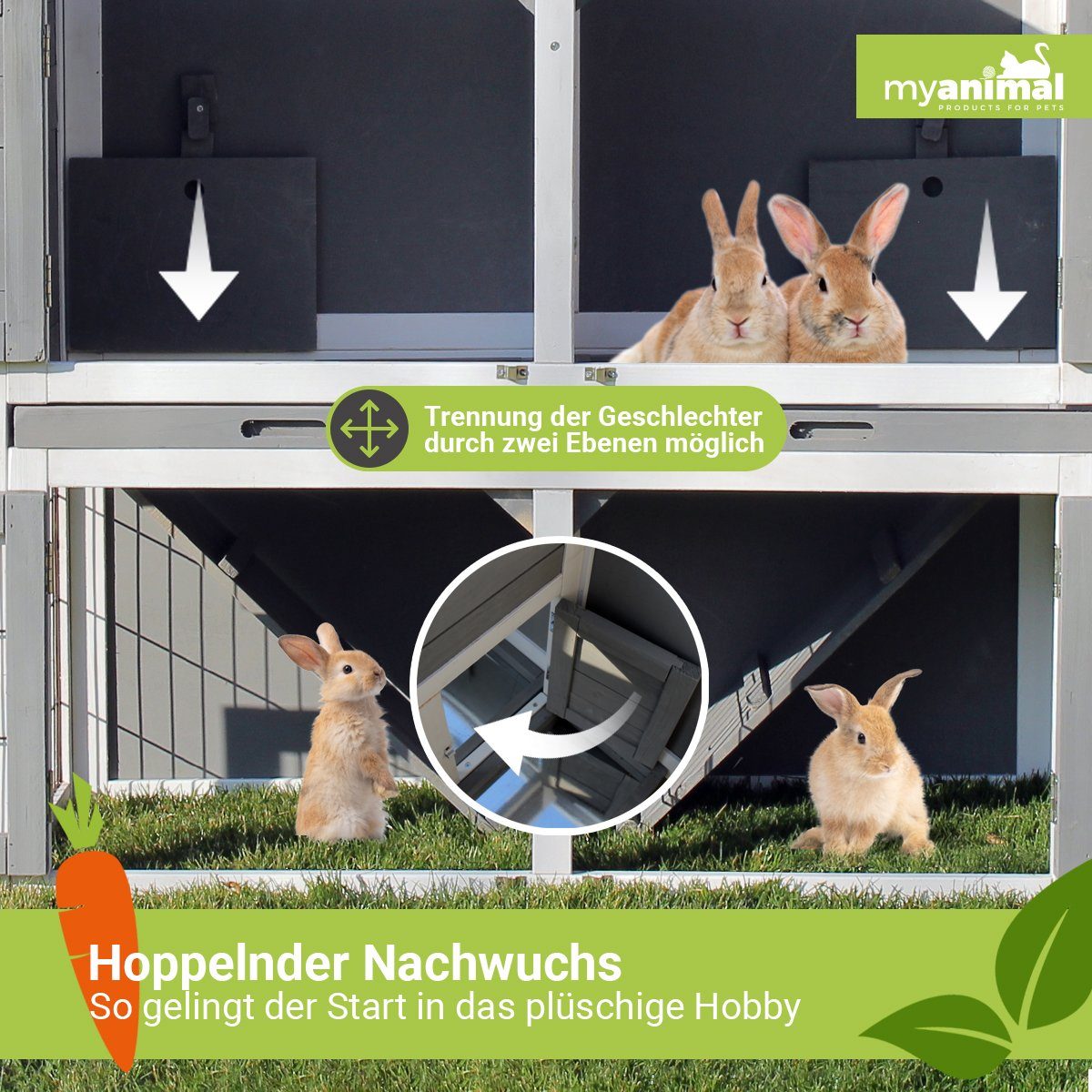 My Animal Kleintierstall XXL Hasenstall MH-33 günstig online kaufen