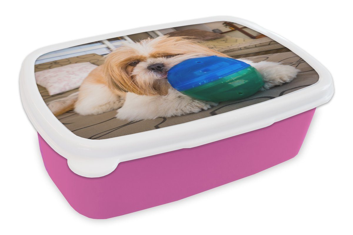 MuchoWow Lunchbox Ein Shih Tzu Kunststoff für Ball, Kunststoff, Kinder, Snackbox, Hund rosa (2-tlg), Mädchen, Erwachsene, Brotdose Brotbox einem spielt mit