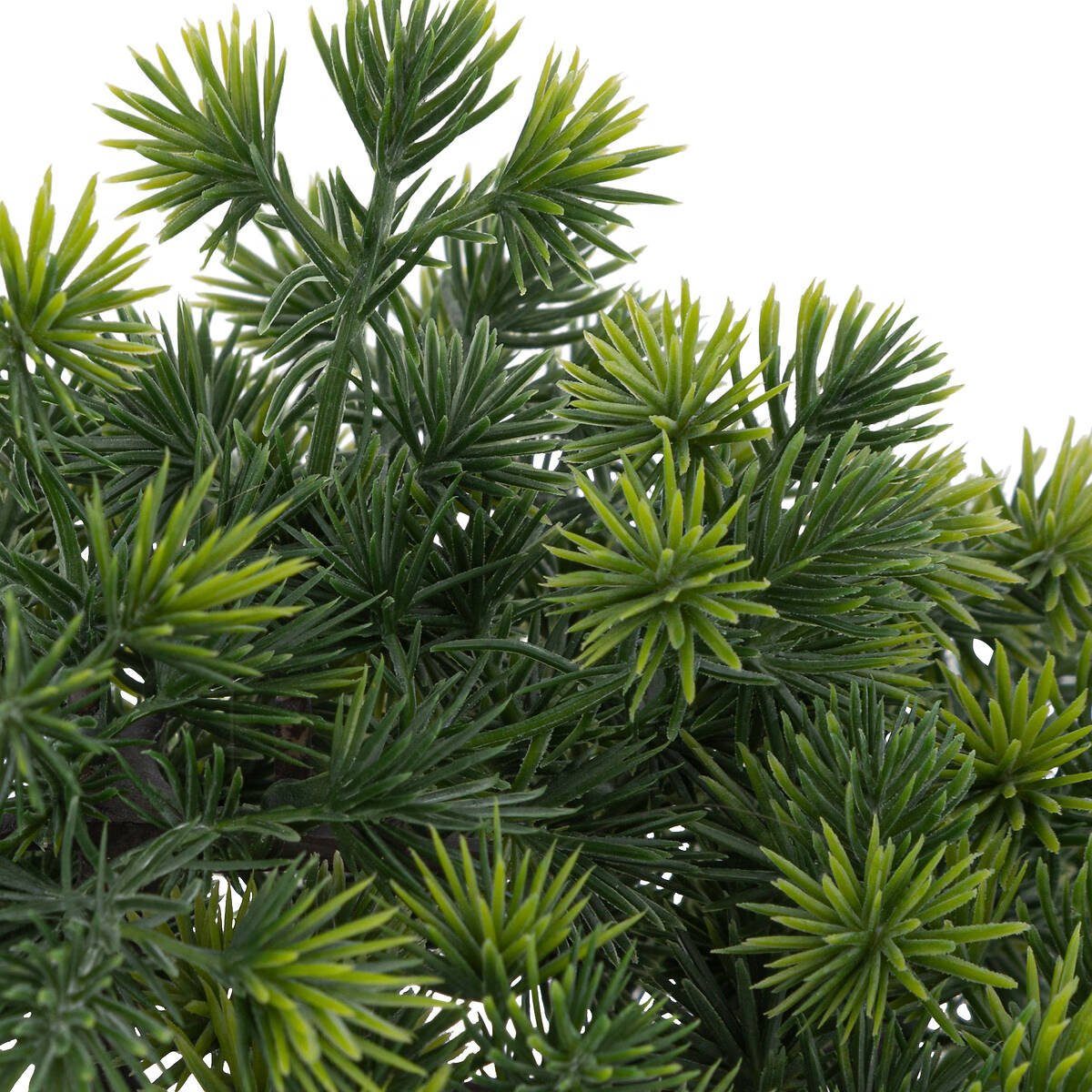 Kunstpflanze Zimmerpflanze, Atmosphera Créateur d'intérieur, Höhe günstig online kaufen