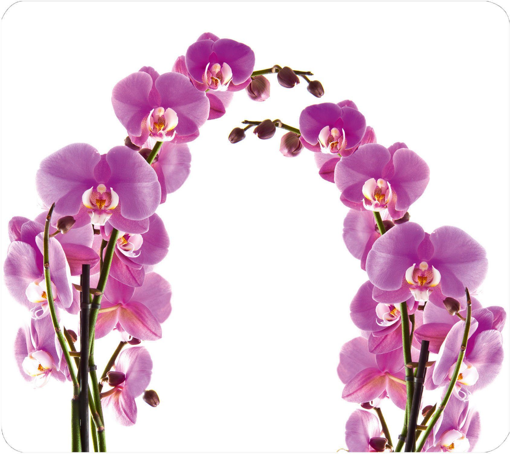 WENKO Herd-Abdeckplatte Orchideenblüte, Glas, Silikon