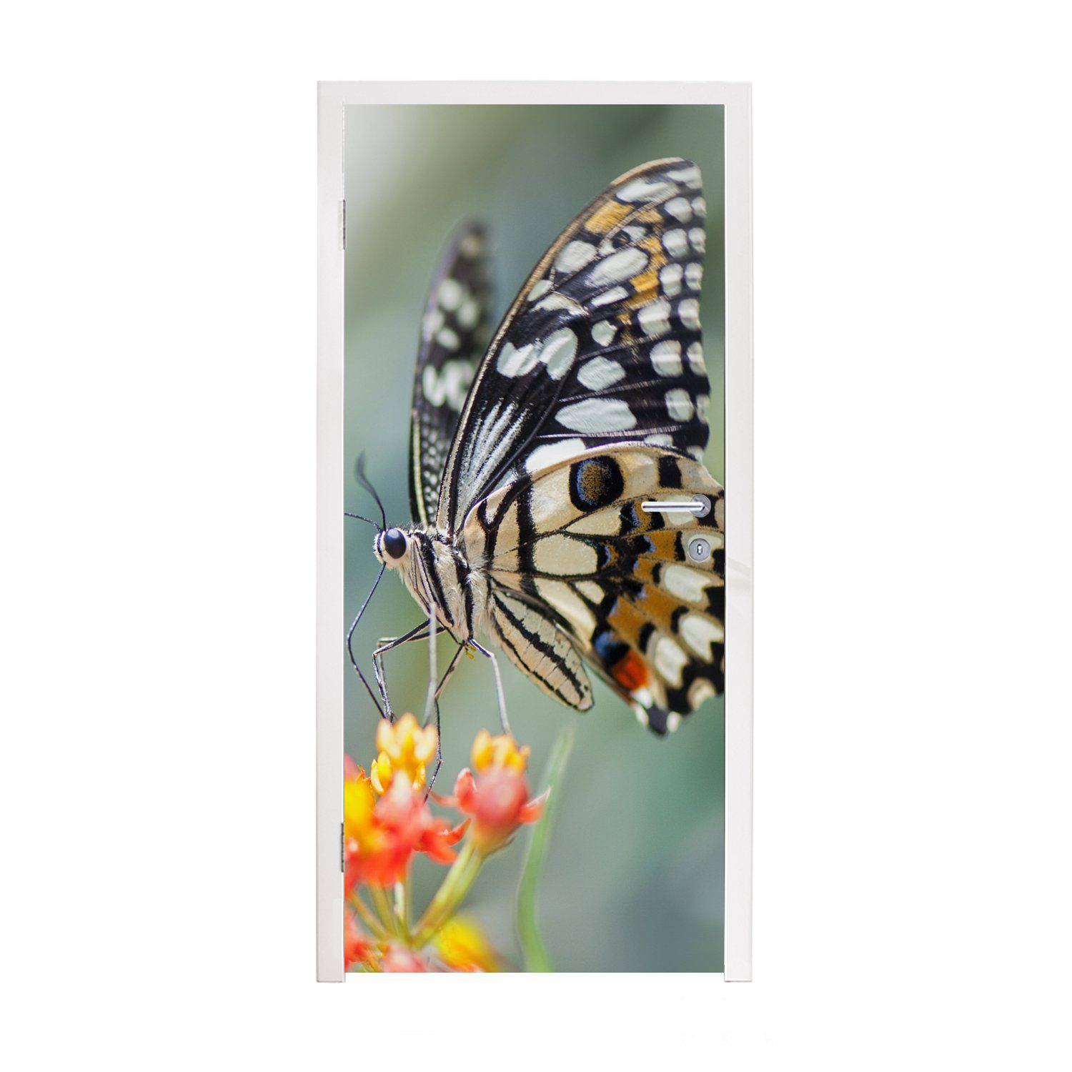 MuchoWow Türtapete Seiten Schmetterling auf Blume, Matt, bedruckt, (1 St), Fototapete für Tür, Türaufkleber, 75x205 cm