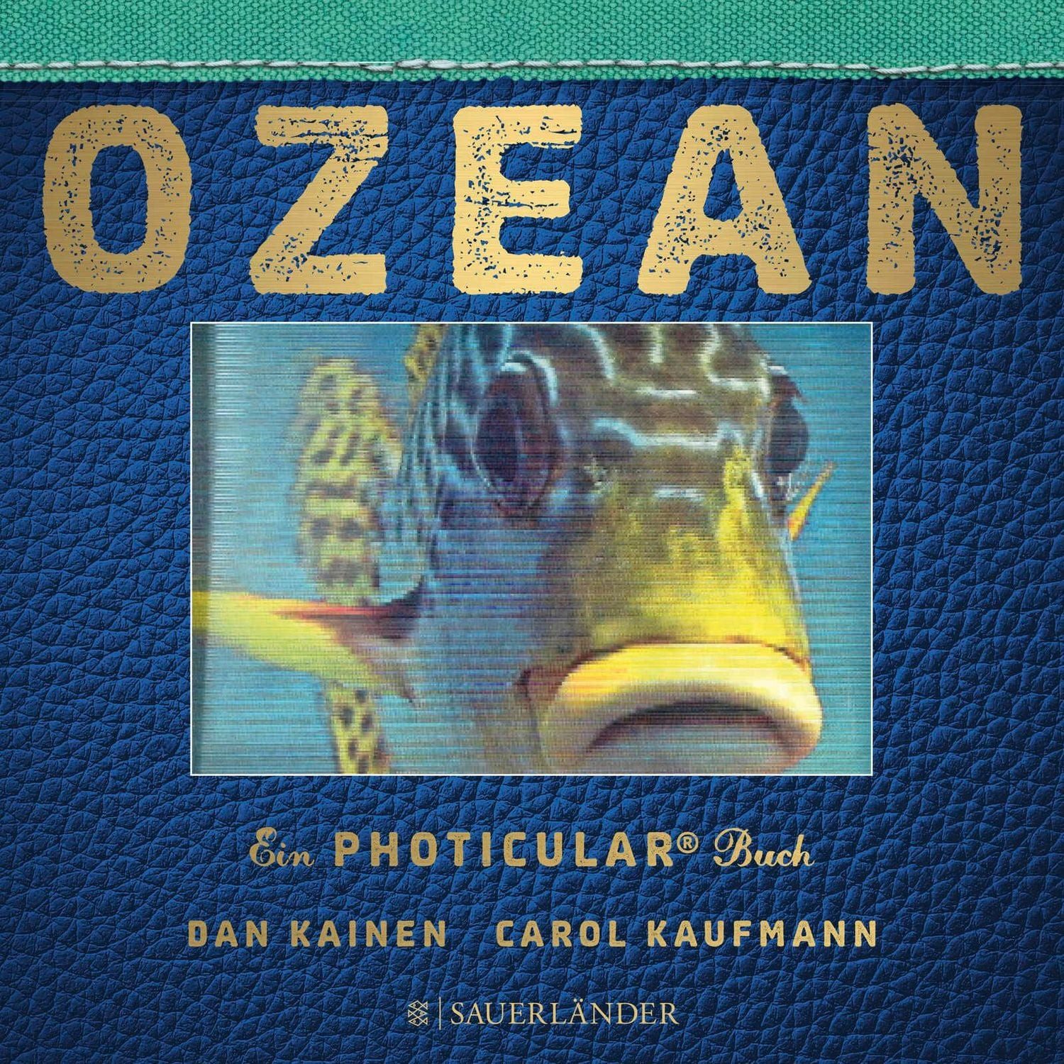 Ozean / Dan Kainen, Carol Kaufmann