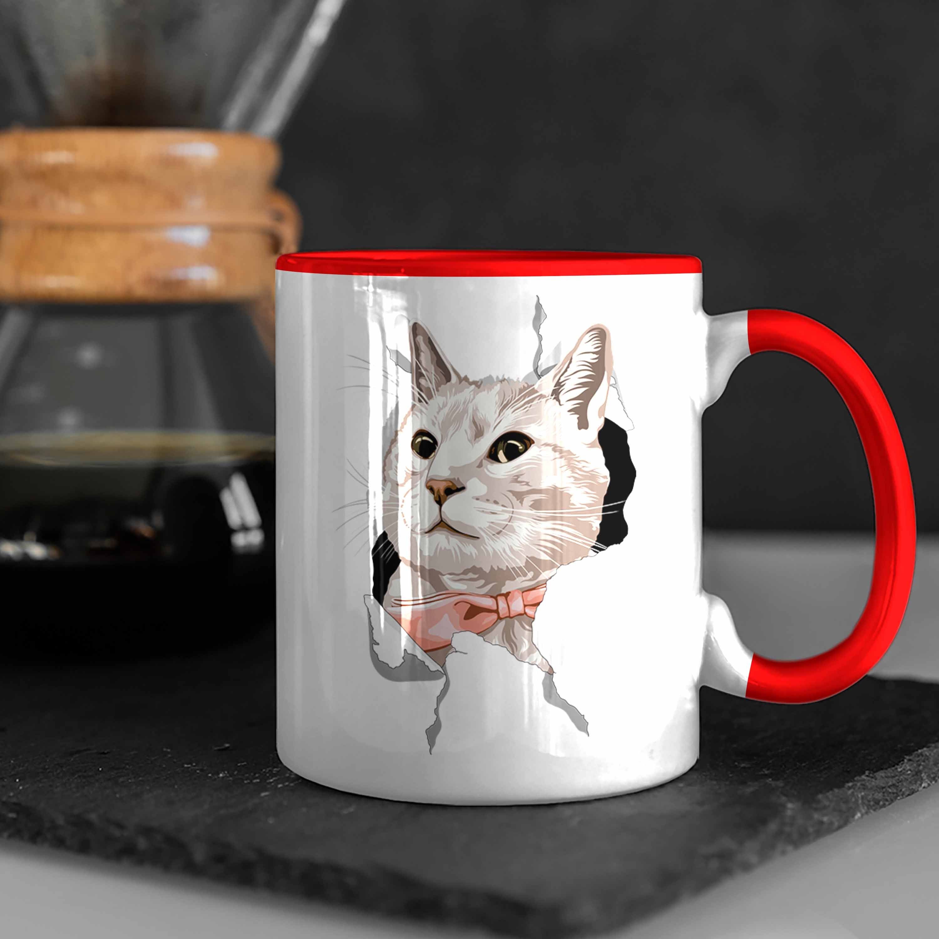 Geschenk - Katzen Rot Geschenkidee 3D Tasse Katzenbesitzerin Trendation Trendation Tasse Lustige Katzengrafik