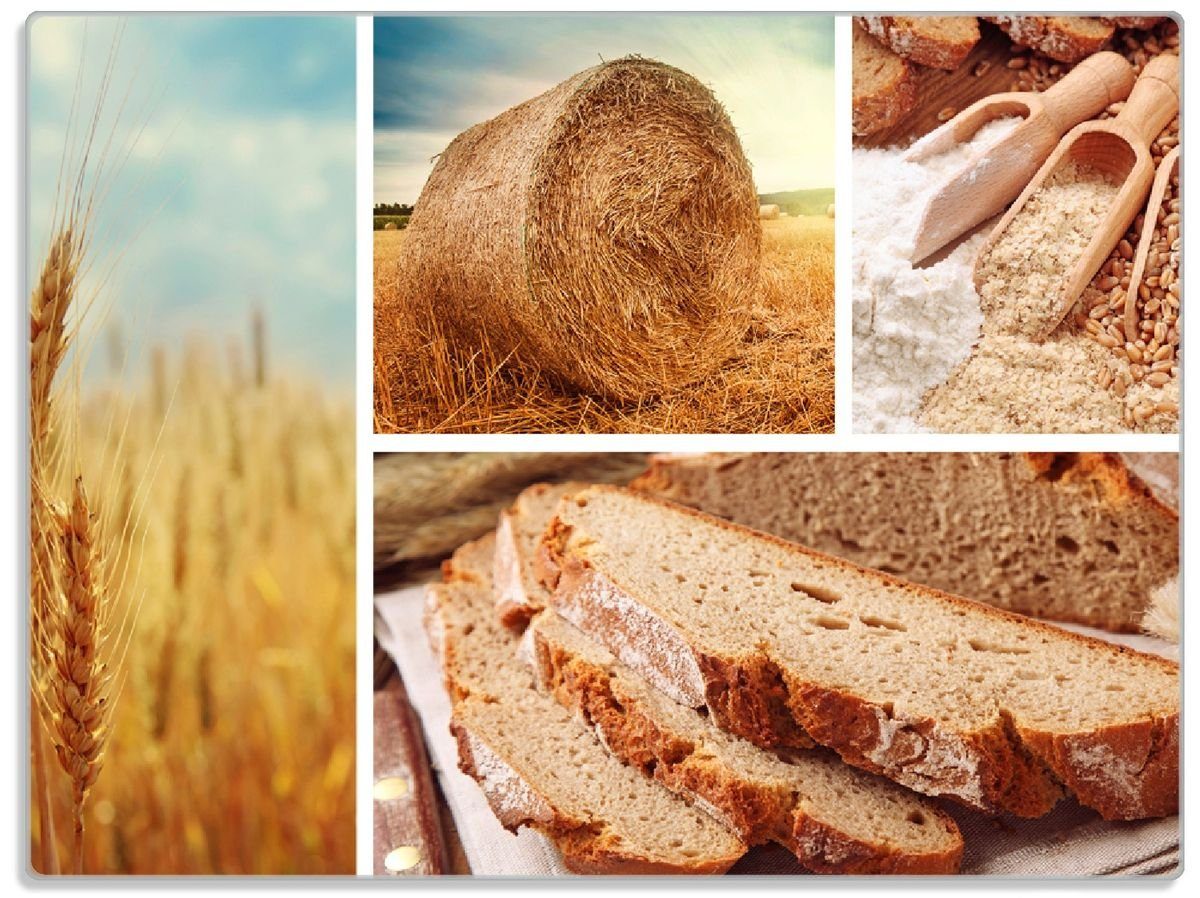 4mm, Gummifüße Schneidebrett Brot, rutschfester Vom zum Wallario und 1-St), Mehl (inkl. ESG-Sicherheitsglas, 30x40cm Korn Weizen