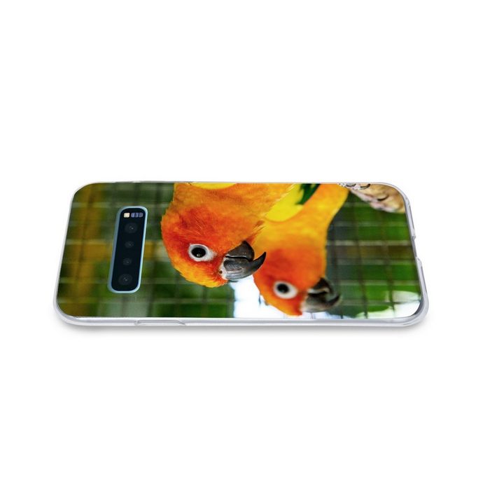 MuchoWow Handyhülle Nahaufnahme eines Paares von Sonnensittichen Phone Case Handyhülle Samsung Galaxy S10+ Silikon Schutzhülle FN11510