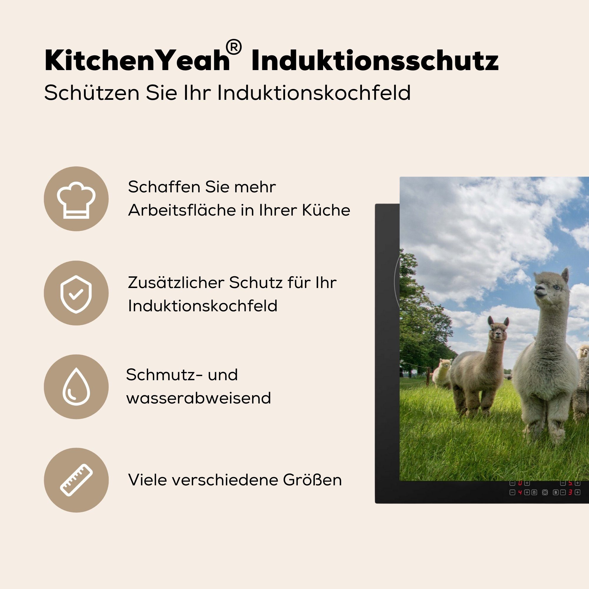 küche, 81x52 tlg), (1 Gras MuchoWow Herdblende-/Abdeckplatte - Schutz - Induktionskochfeld Vinyl, Ceranfeldabdeckung cm, Alpaka Molke, die für