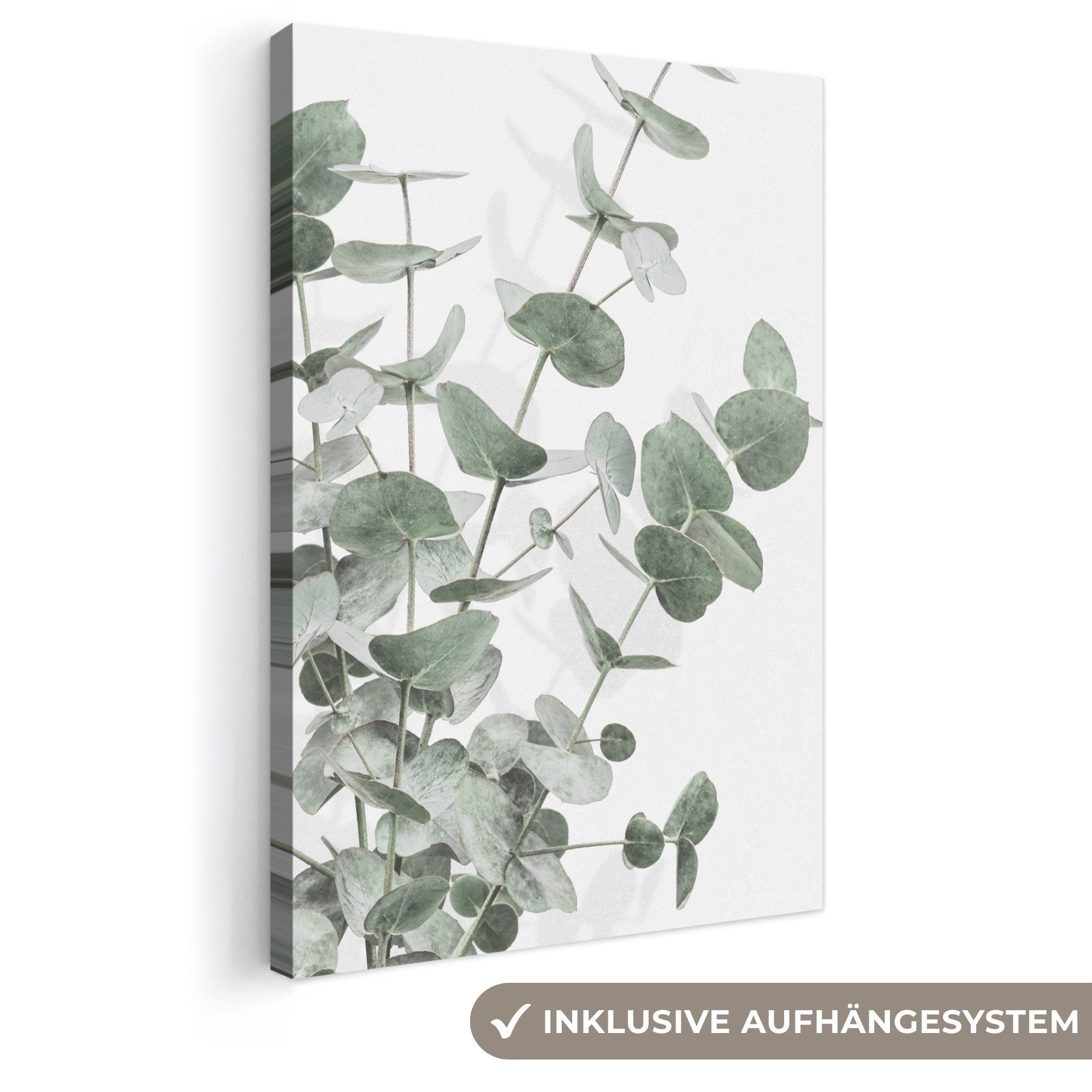 OneMillionCanvasses® Leinwandbild Eukalyptus - Blätter - Natur - Grün, Fotodruck (1 St), Leinwand Canvas Wandbild, Wanddekoration 20x30 cm
