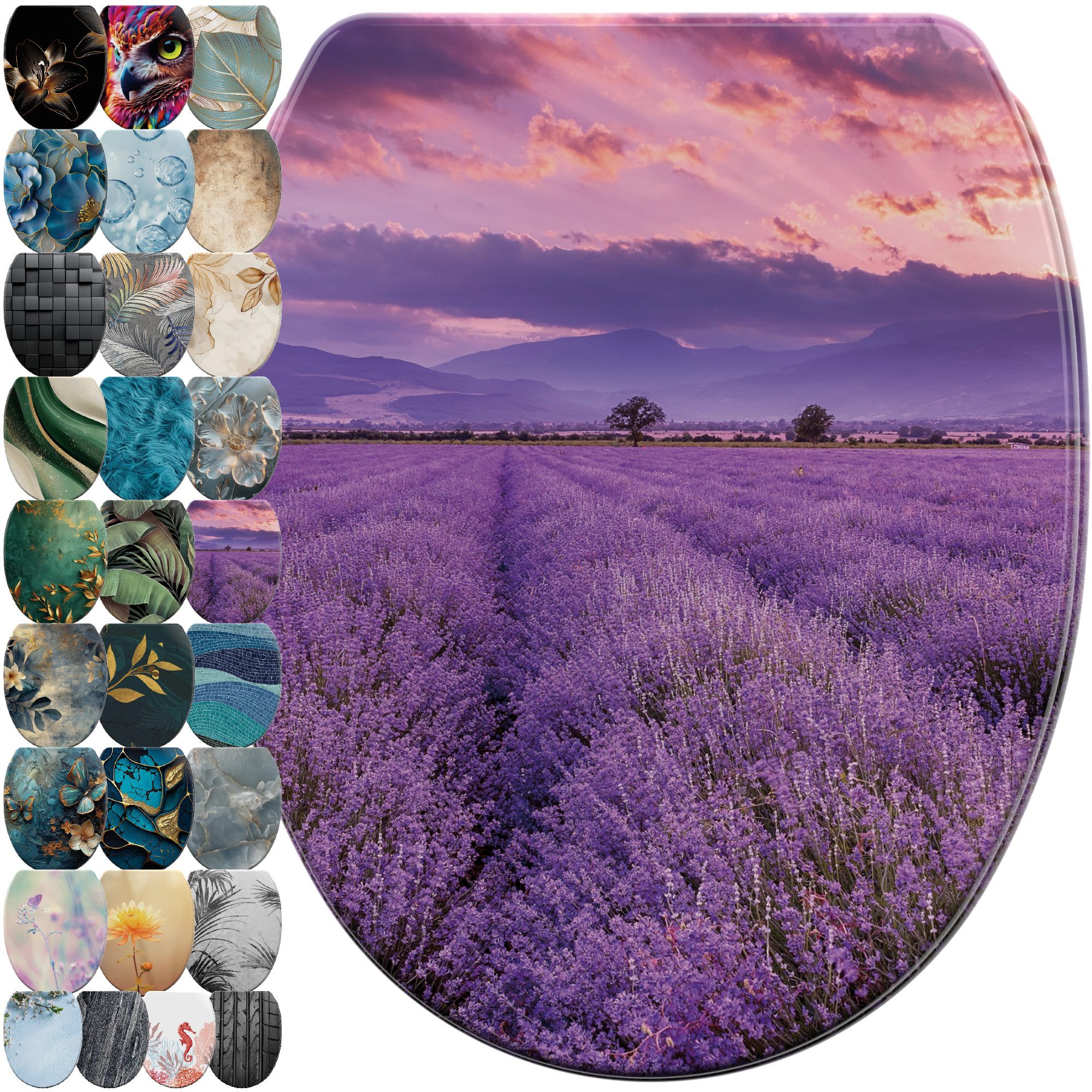 Sanilo WC-Sitz mit Absenkautomatik & Top Fix in vielen Designs, hochwertig, günstig online kaufen