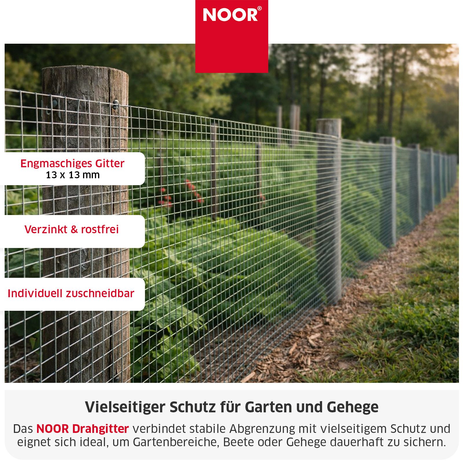 NOOR Maschendrahtzaun Drahtgitter - Pflanzenschutz in verschiedenen Größen und Maschenweiten, Robuster Drahtzaun - flexibel einsetzbar für Garten & Tierbereiche