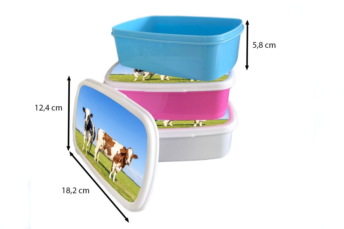 Erwachsene, - Brotdose Kühe - - für Lunchbox Snackbox, Gras Mädchen, Kinder, Kunststoff (2-tlg), Tiere, - Brotbox Kunststoff, Bauernhof rosa Natur MuchoWow