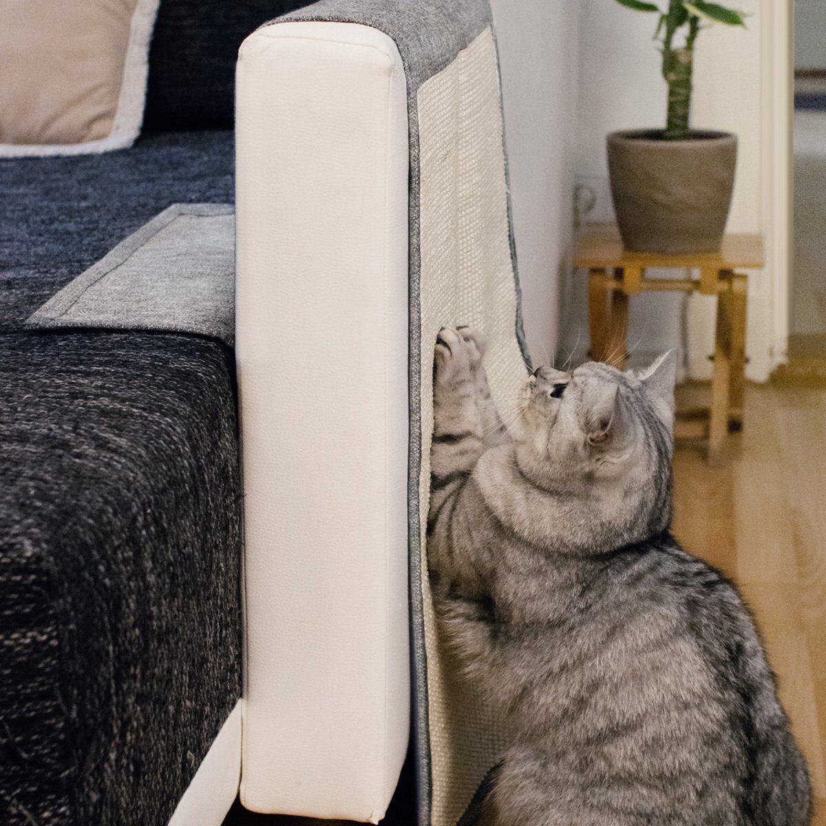 Navaris Kratzpappe Katzen Kratzmatte Kratzschutz Sofa günstig online kaufen