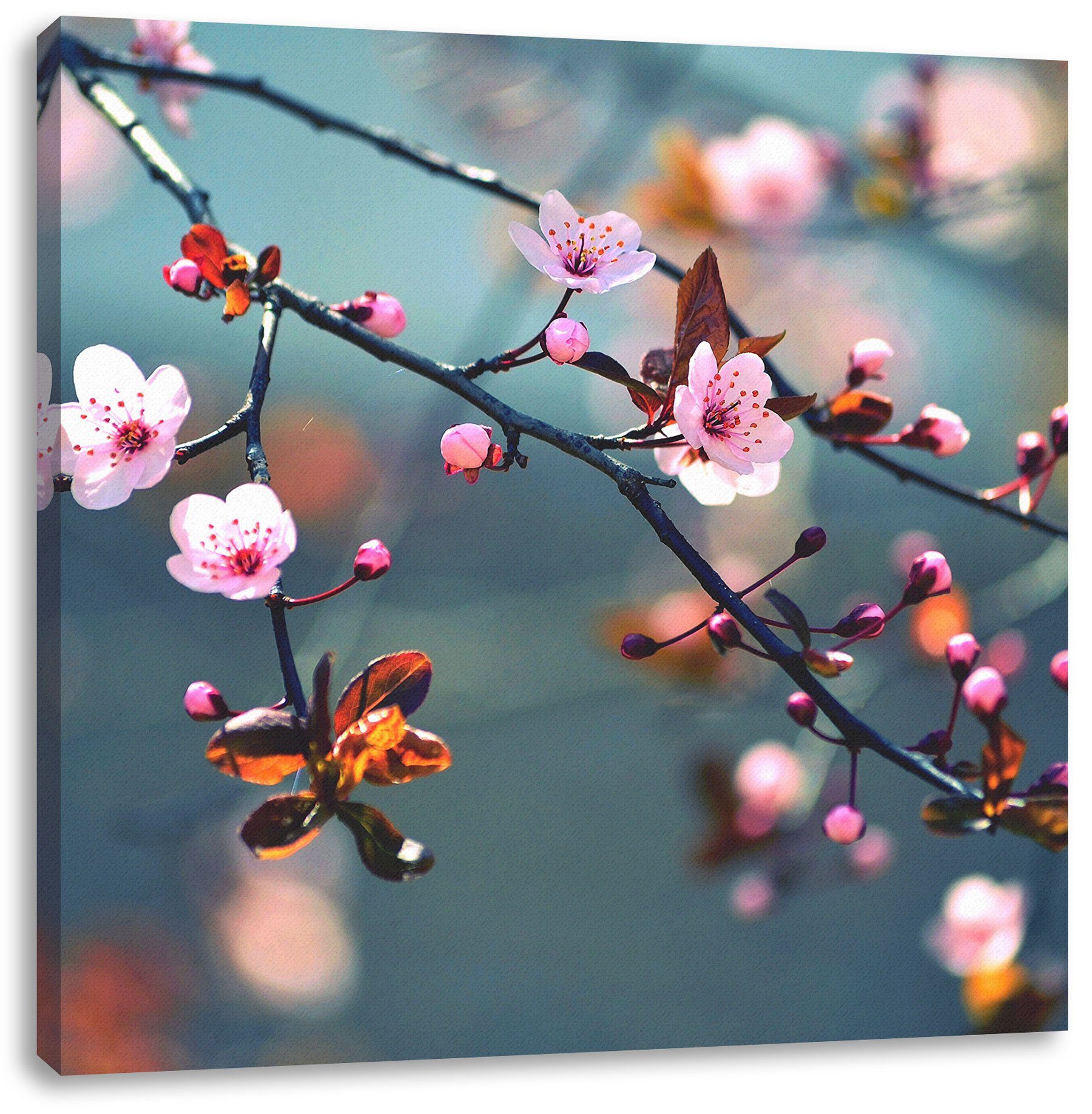 Leinwandbild St), Blüten Exotische inkl. fertig Sakura Exotische Pixxprint bespannt, Zackenaufhänger Sakura (1 Blüten, Leinwandbild