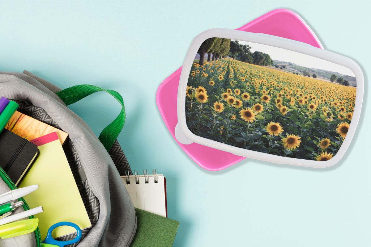Kunststoff, MuchoWow Brotbox Erwachsene, Snackbox, Sonnenblume für Mädchen, - Brotdose Kinder, - Lunchbox rosa Kunststoff Hügel (2-tlg), Frühling,