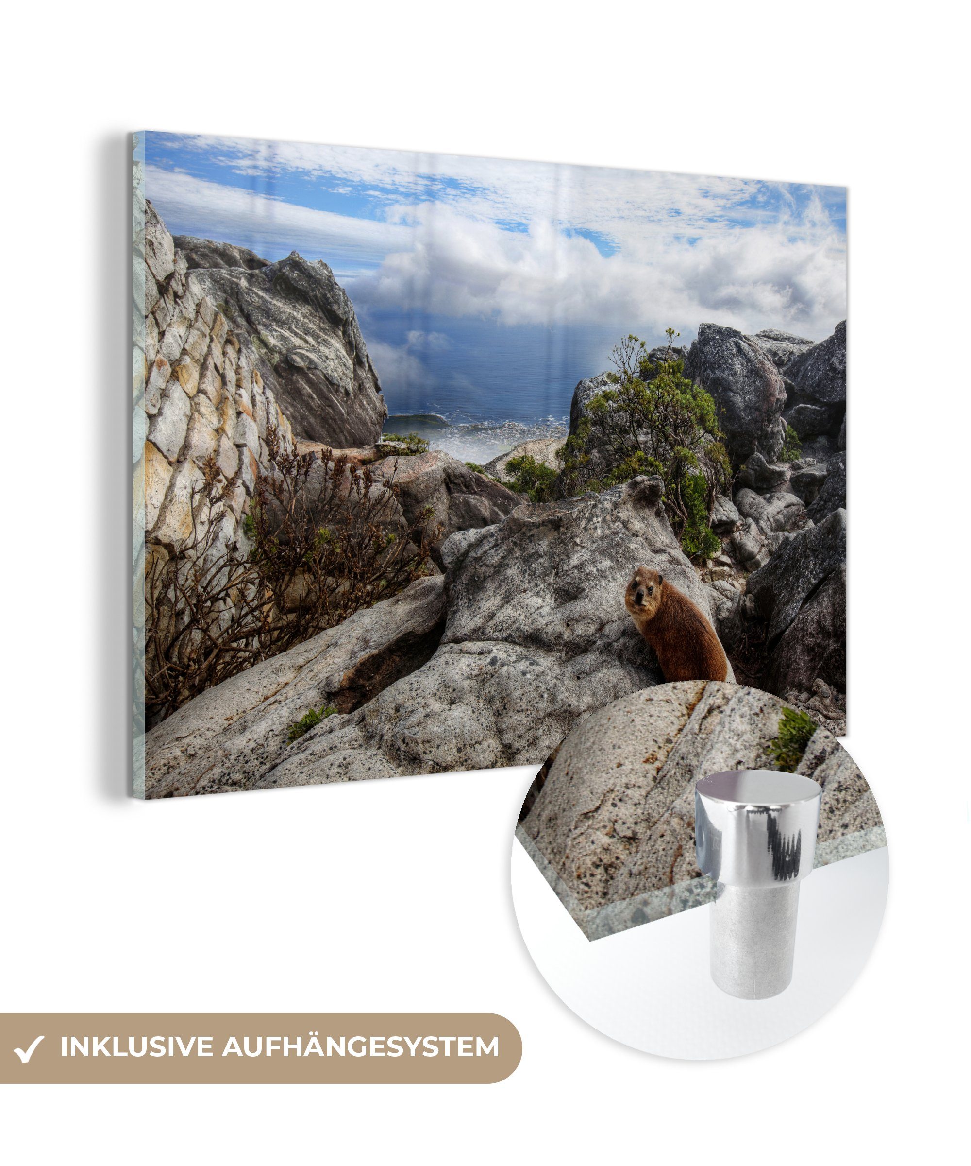 MuchoWow Acrylglasbild Kap-Felswand auf einem Berg, (1 St), Acrylglasbilder Wohnzimmer & Schlafzimmer
