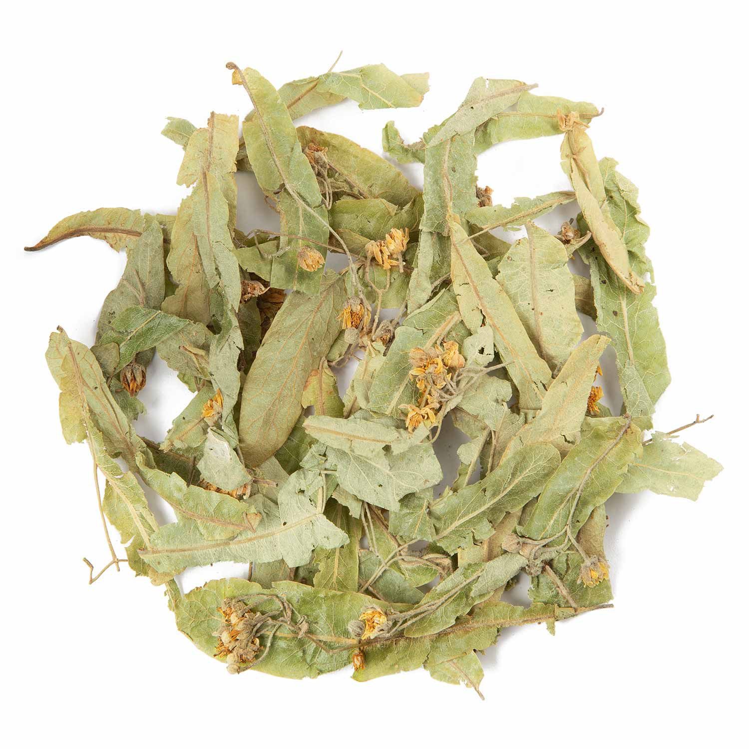 tea exclusive Tee Lindenblüten aus Wildpflückung, BIO Kräutertee, 50g, Sanft, süß, sinnlich mit einer lieblich-blumigen Note von Honig.
