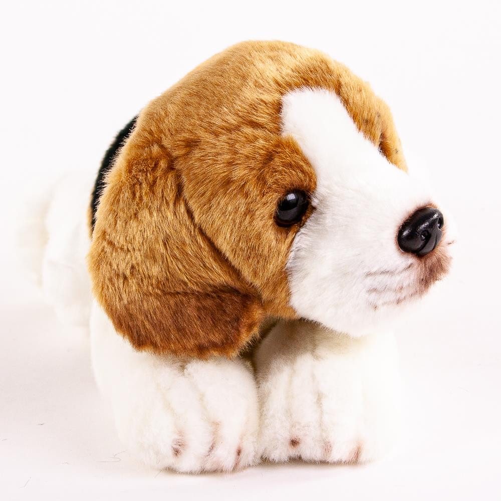 Teddys Rothenburg Kuscheltier Beagle liegend 30 cm Plüschhund (Hund Beagle günstig online kaufen