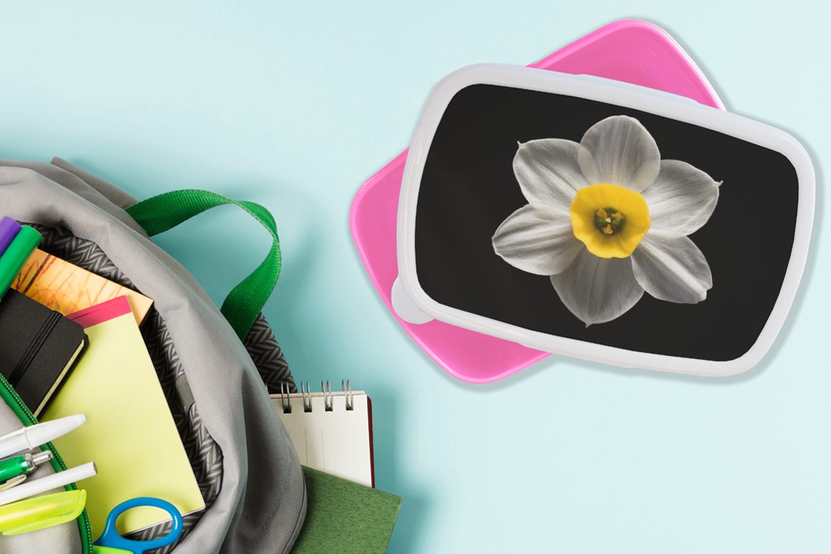 auf Brotdose Eine Snackbox, Lunchbox Hintergrund, für Brotbox Erwachsene, Mädchen, Kunststoff, schwarzem (2-tlg), weiße MuchoWow rosa Narzissenblüte Kinder, Kunststoff