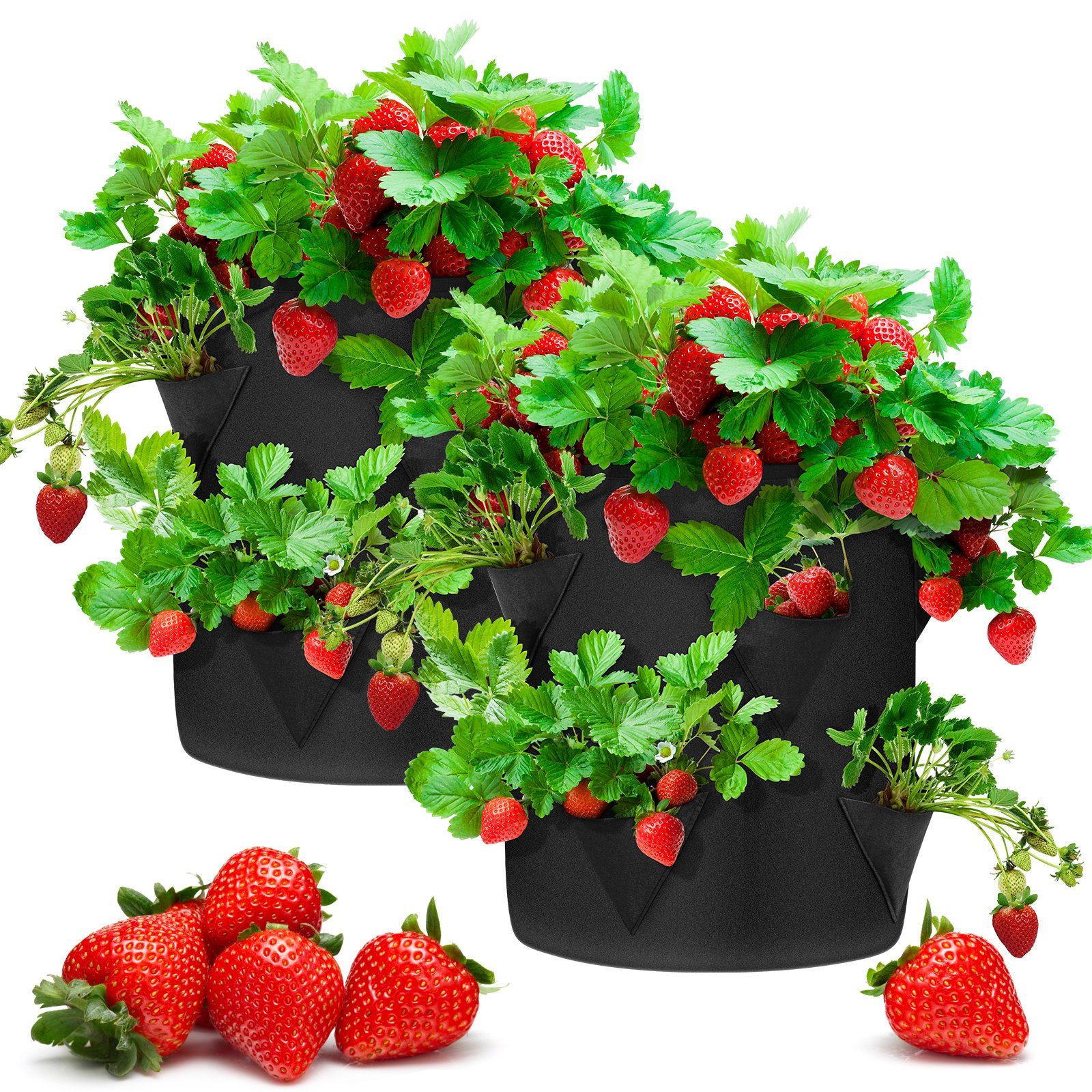 Femor Pflanzkübel (2 Stück), Erdbeere Pflanzsack, 2X30L, Ø35cm Höhe 45cm,  Pflanzen Tasche, Grow Tasche, Pflanzbeutel mit Griffe, 8 seitliche  Wachstumstaschen, dauerhaft AtmungsaktivBeutel Pflanzsack für Erdbeeren  online kaufen | OTTO