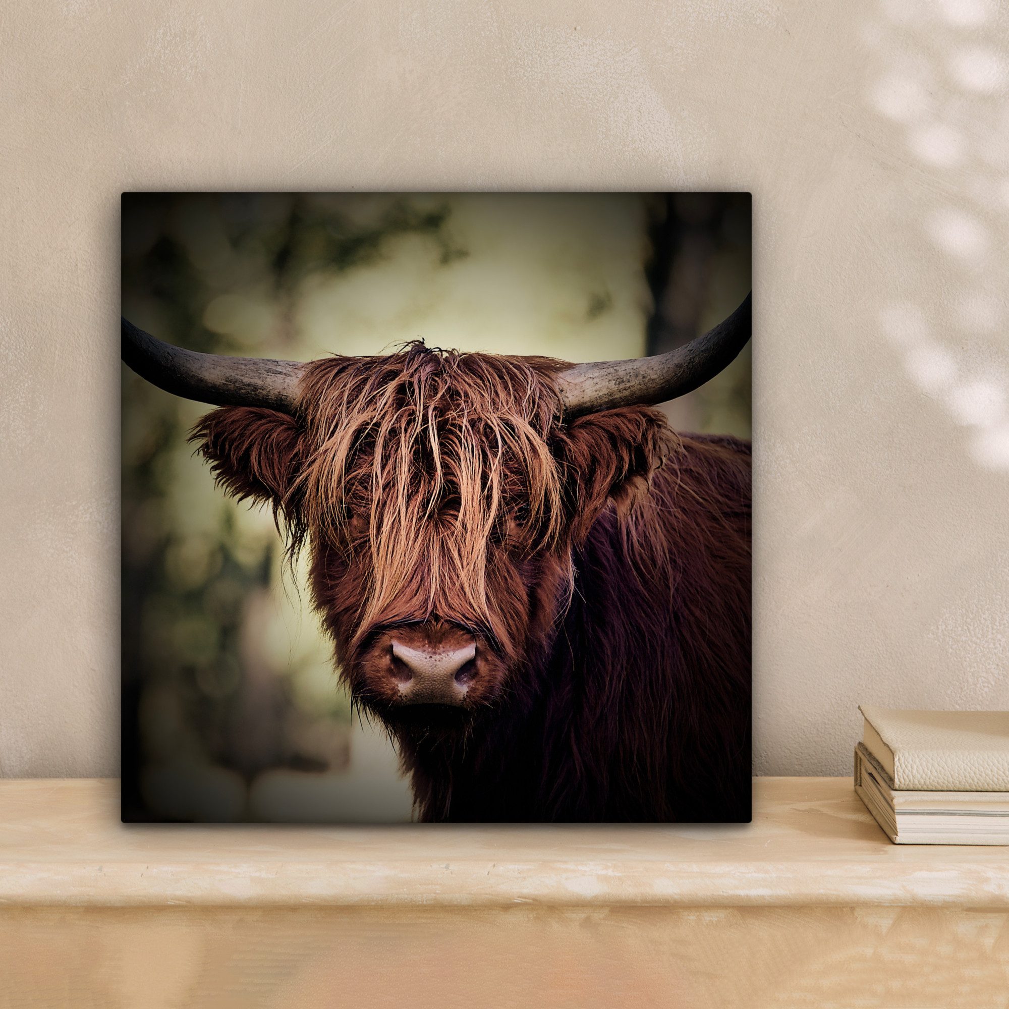 OneMillionCanvasses® Leinwandbild Schottischer Hochländer - Licht - Porträt günstig online kaufen