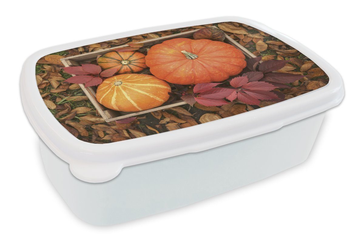MuchoWow Lunchbox Kürbis - Kiste - Blätter, Kunststoff, (2-tlg), Brotbox für Kinder und Erwachsene, Brotdose, für Jungs und Mädchen weiß