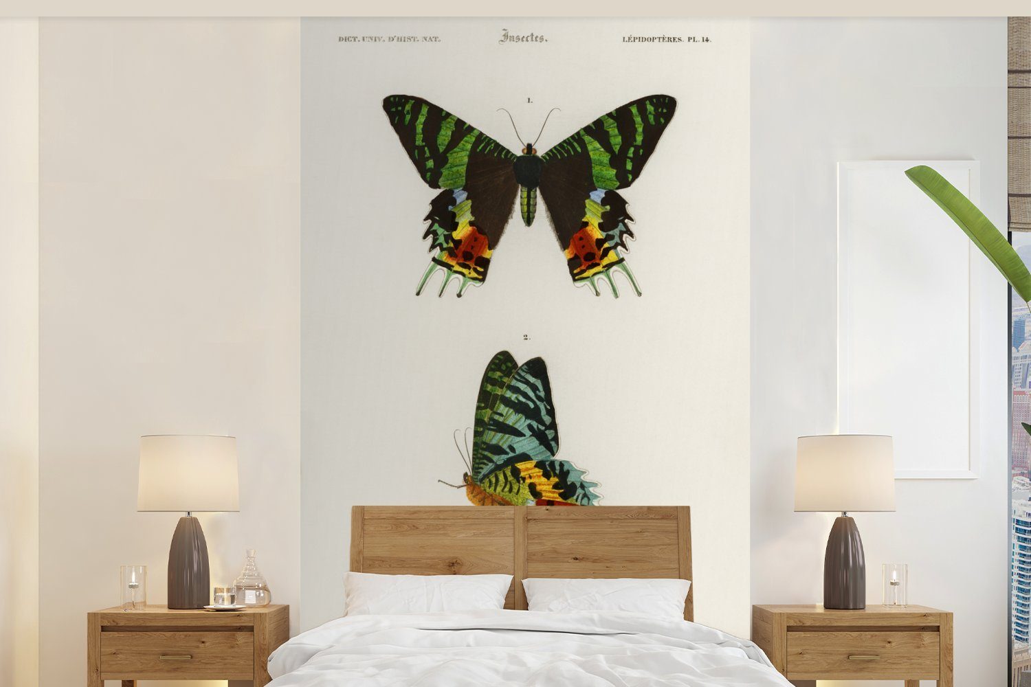 für - Matt, (3 Schlafzimmer, Schmetterling Vintage MuchoWow Wallpaper Kinderzimmer, Tapete bedruckt, St), Fototapete - Wohnzimmer, Insekten, Vinyl