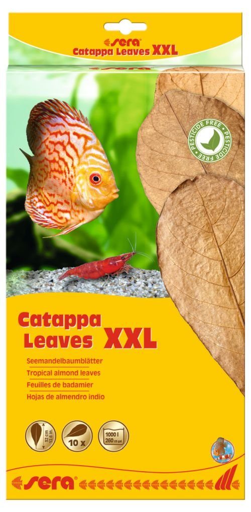 Sera Aquariendeko sera Seemandelbaumblätter XXL 30 - 35 cm 10 St.