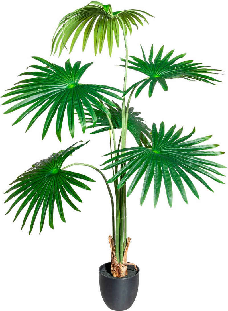 Kunstbaum Washingtonia Grünpflanze, Creativ green, Höhe 120 cm