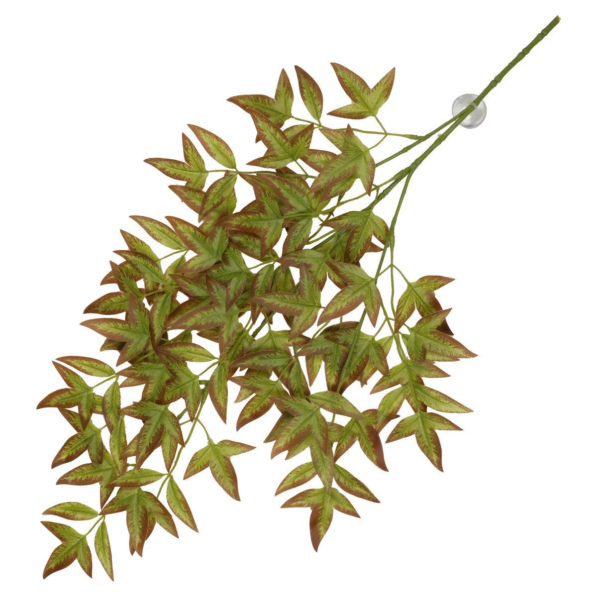 Terra Della Terrariendeko Hängepflanze Nandina rot