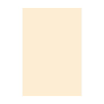 Teppich Vinyl Wohnzimmer Schlafzimmer Flur Küche Einfarbig modern, Bilderdepot24, rechteckig - beige glatt, nass wischbar (Küche, Tierhaare) - Saugroboter & Bodenheizung geeignet