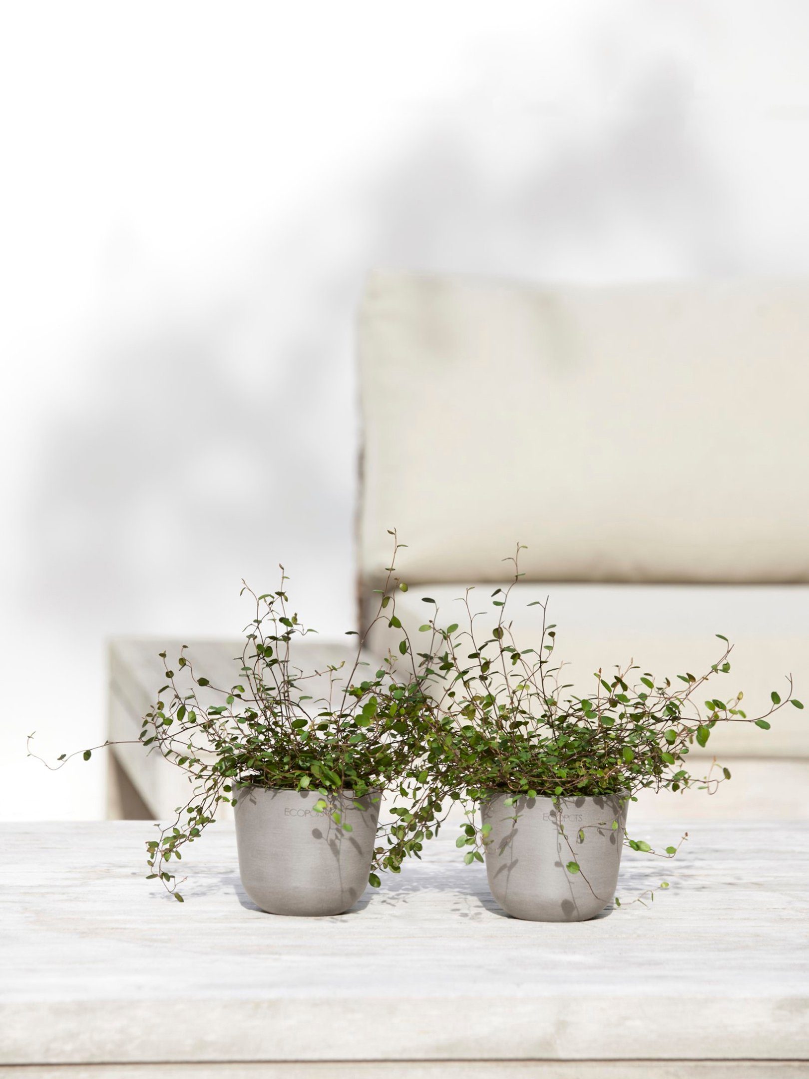 ECOPOTS Blumentopf Oslo Mini 11,5 Taupe, günstig online kaufen