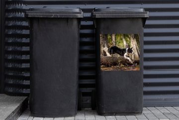 MuchoWow Wandsticker Ein schwarz-weißer Border Collie springt über einen Baumstamm (1 St), Mülleimer-aufkleber, Mülltonne, Sticker, Container, Abfalbehälter