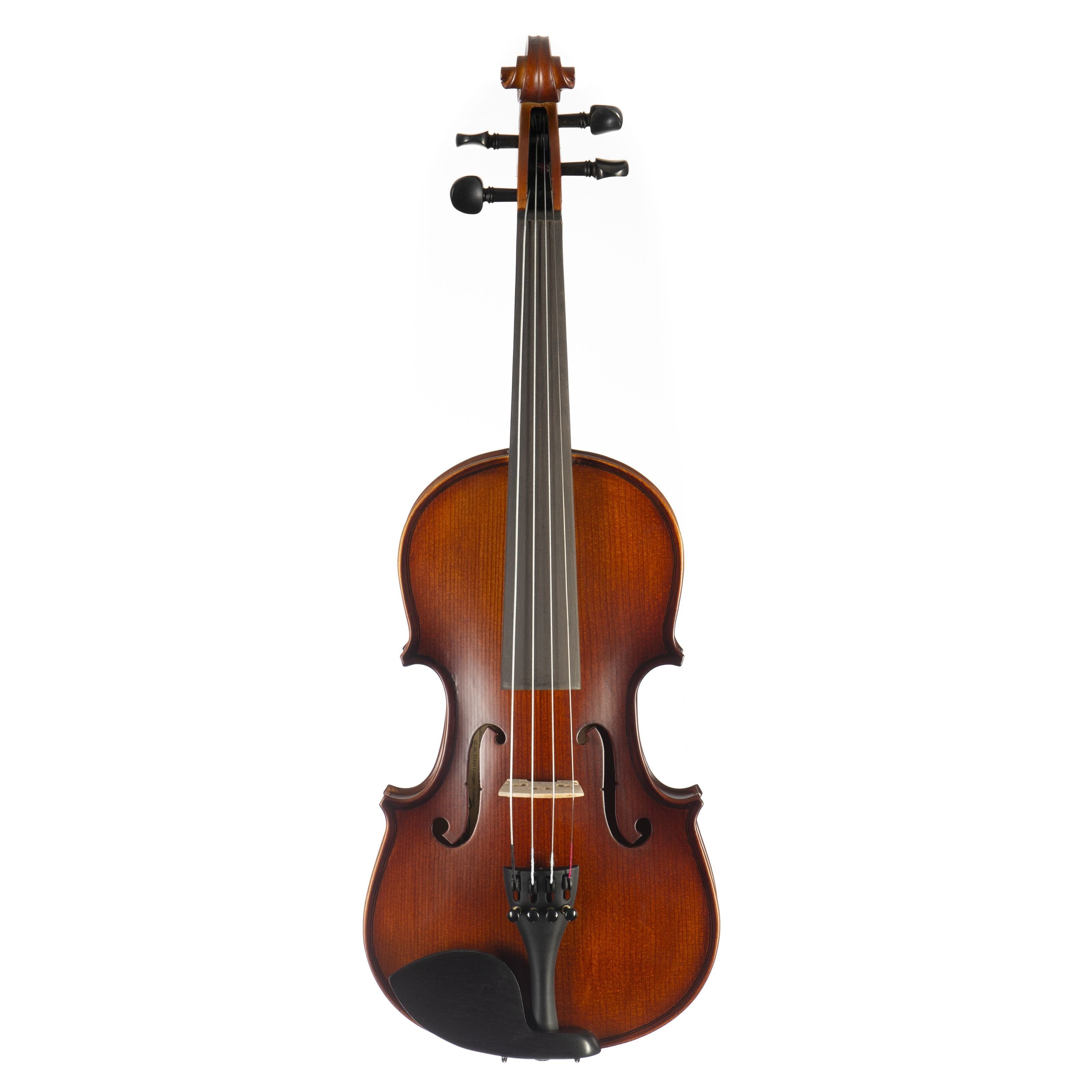 Violine