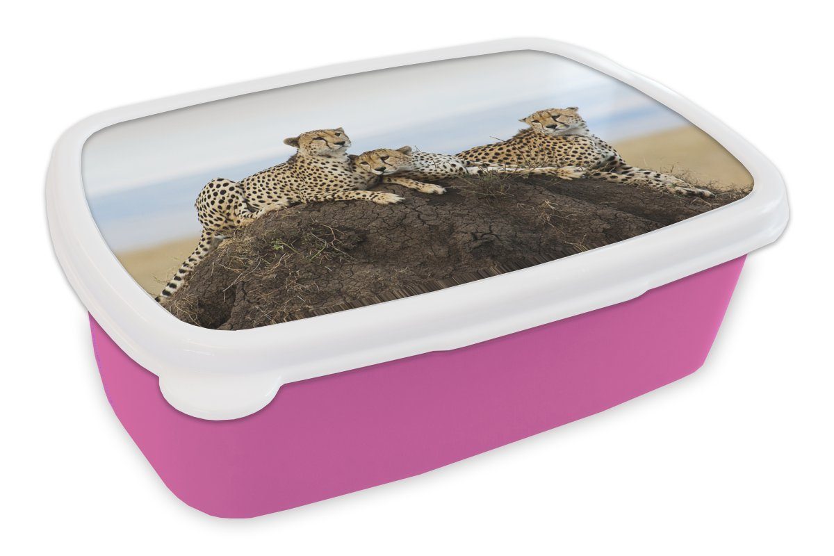 MuchoWow Lunchbox Drei Geparden auf einem Aussichtshügel, Kunststoff, (2-tlg), Brotbox für Erwachsene, Brotdose Kinder, Snackbox, Mädchen, Kunststoff rosa