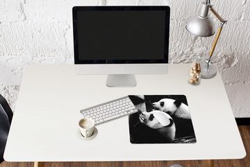 MuchoWow Gaming Mauspad Pandas - Schwarz - Weiß (1-St), Mousepad mit Rutschfester Unterseite, Gaming, 40x40 cm, XXL, Großes
